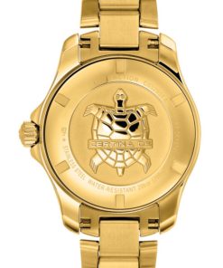 Alternative view of DS Action