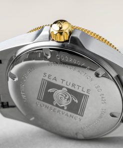 Alternative view of DS Action Diver Sea Turtle Conservancy