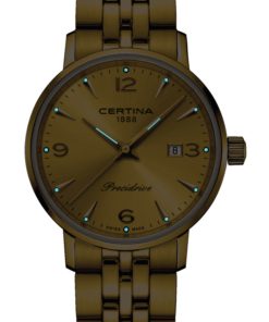 Alternative view of DS Caimano