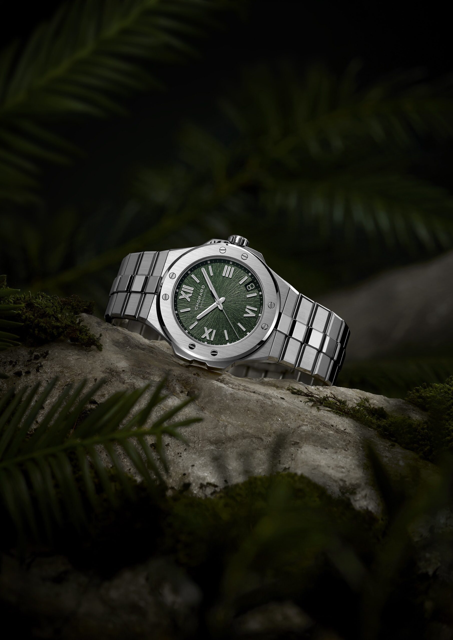 Alpine Eagle - Image 4