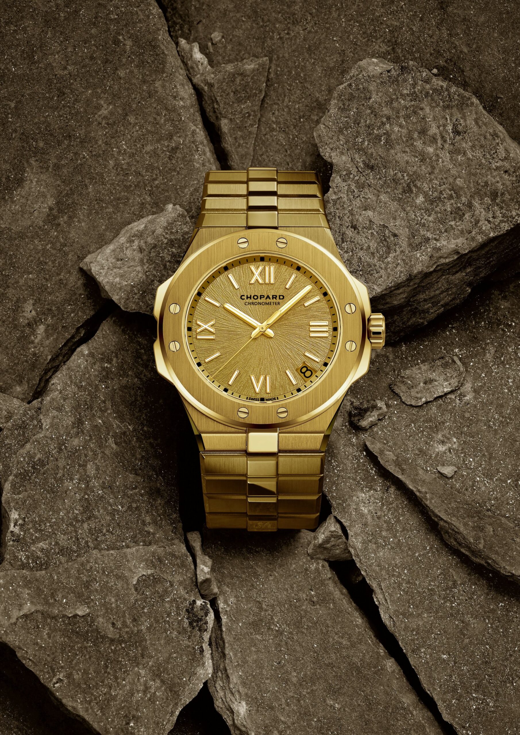 Alpine Eagle 41 - Image 4