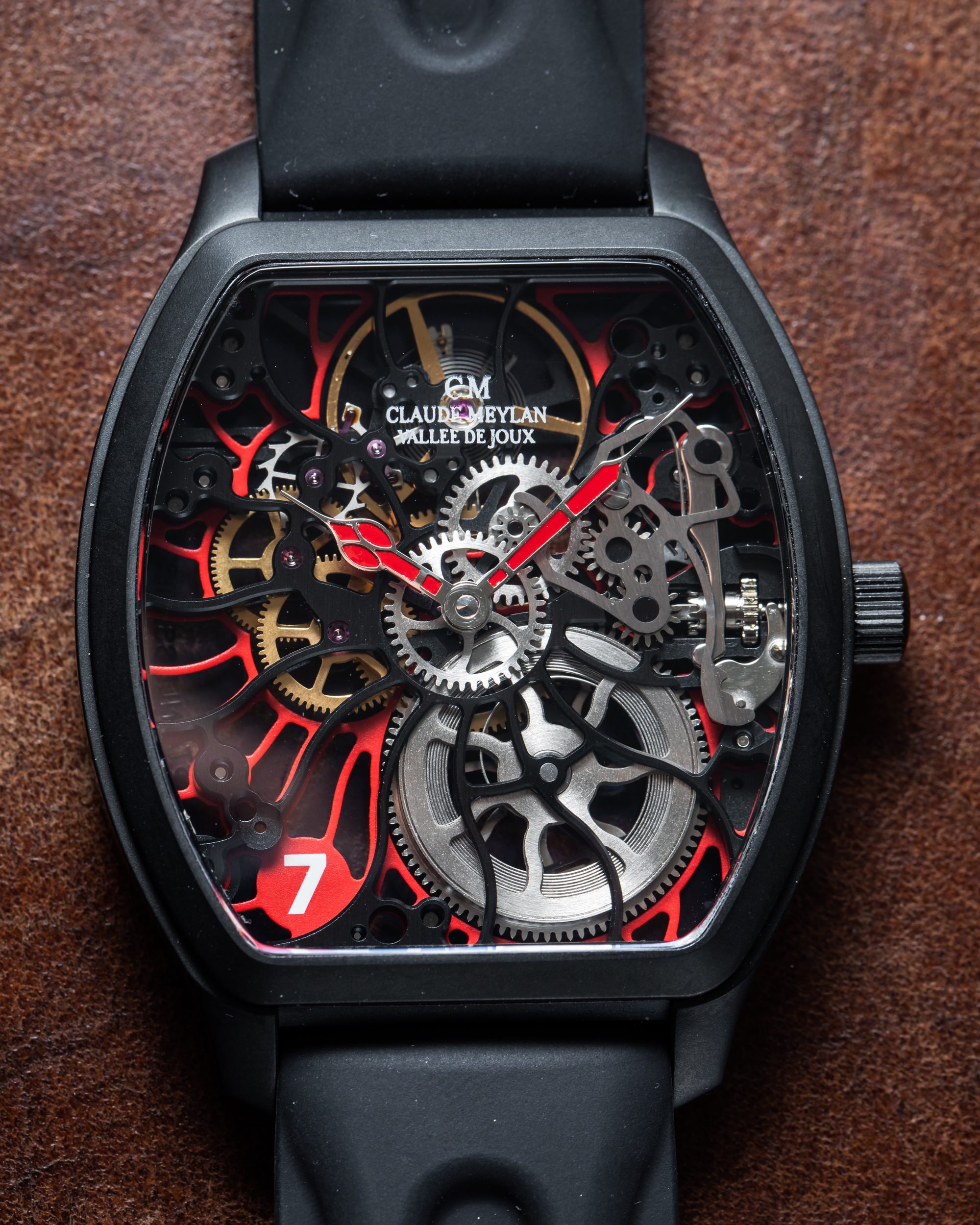 Tortue Rainbow - Image 3