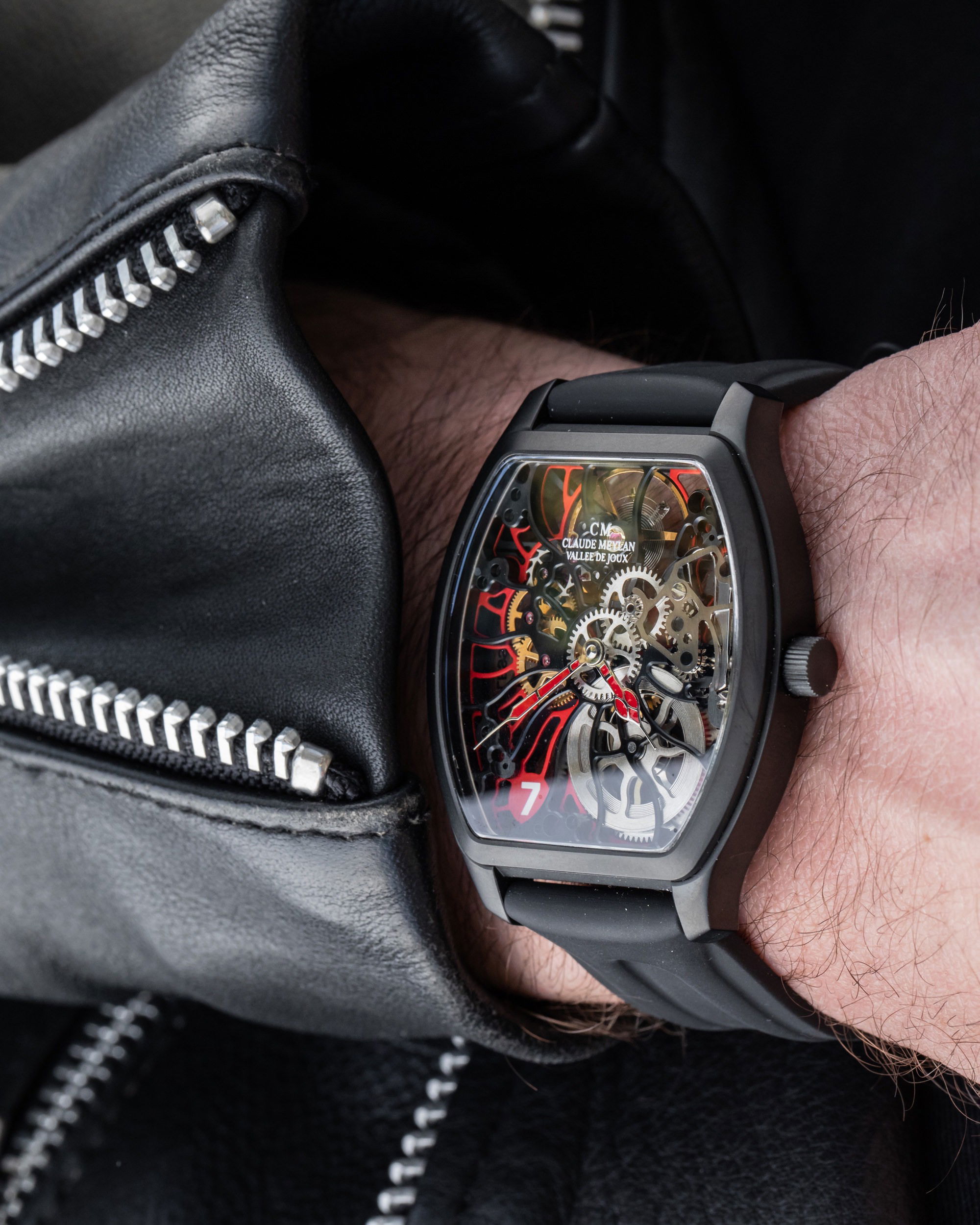 Tortue Rainbow - Image 4