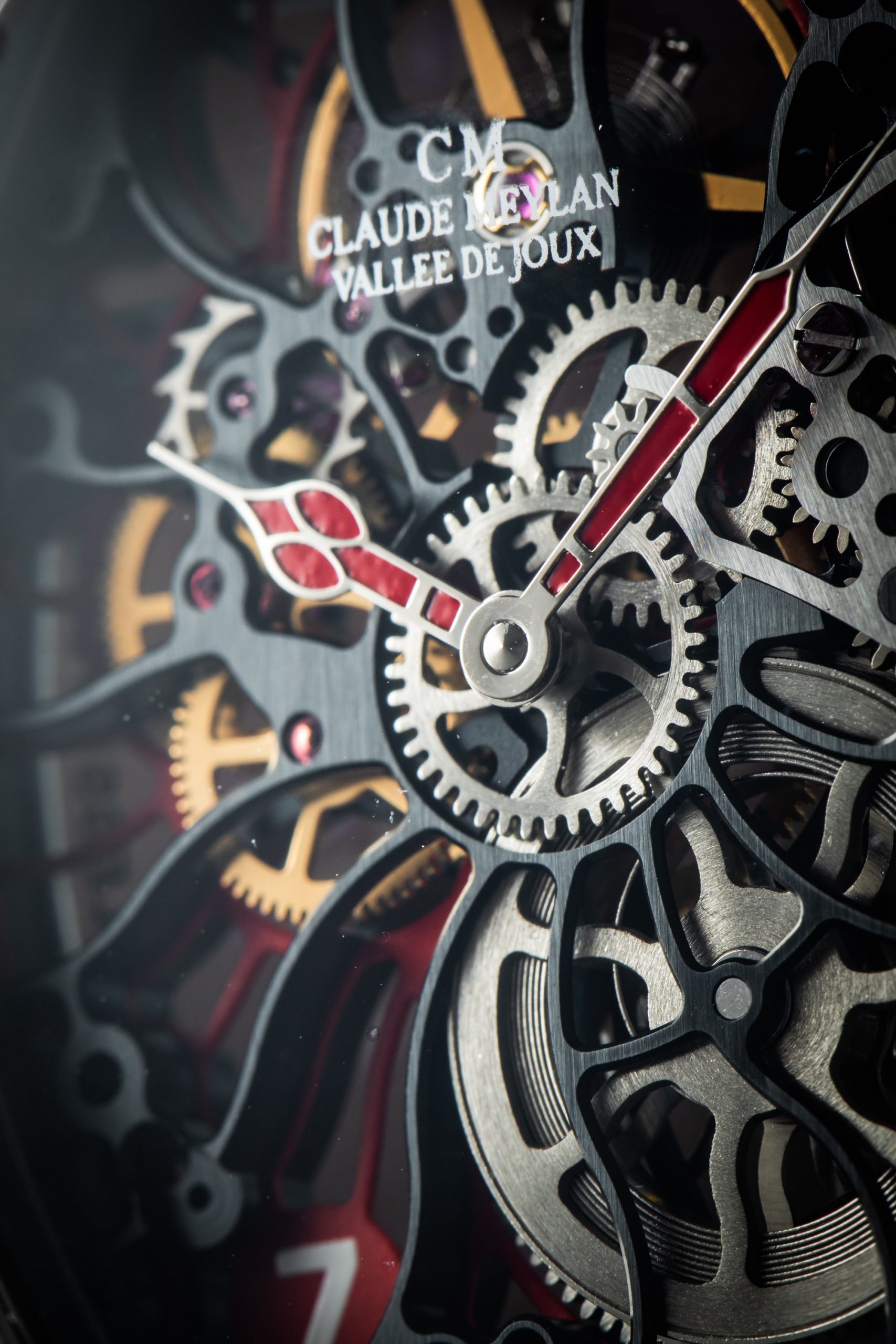 Tortue Rainbow - Image 5