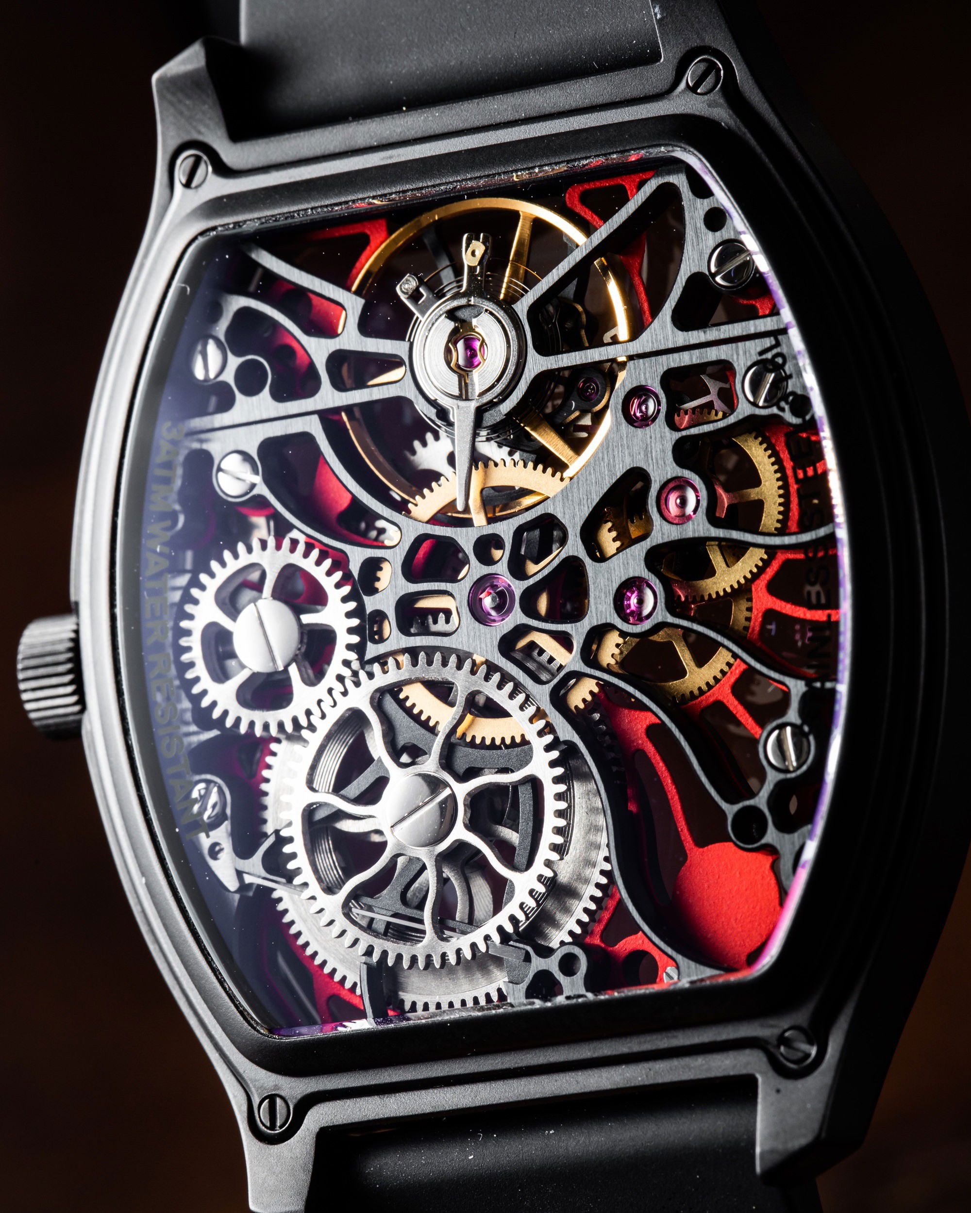 Tortue Rainbow - Image 6