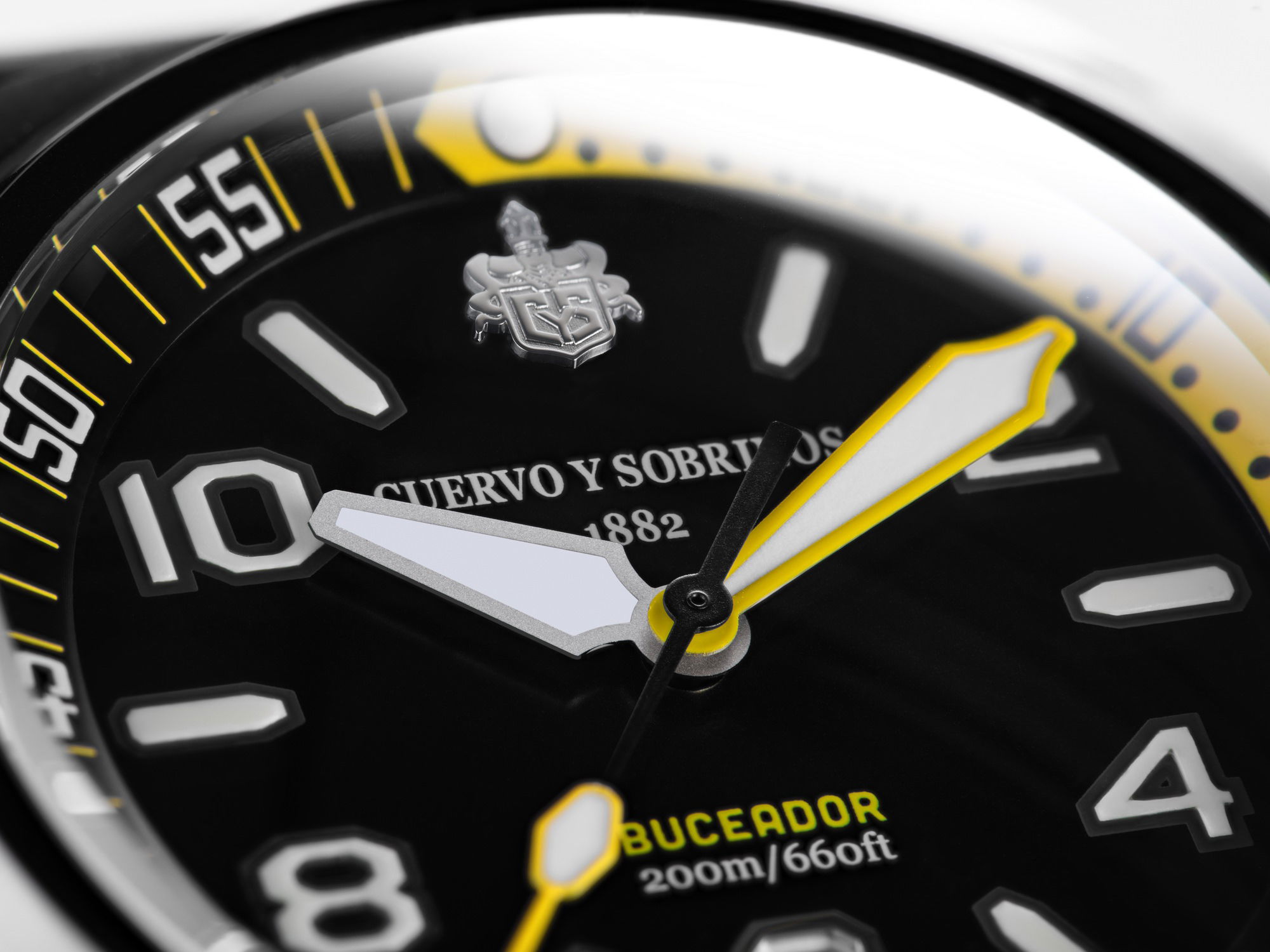 Buceador Caribe - Image 8