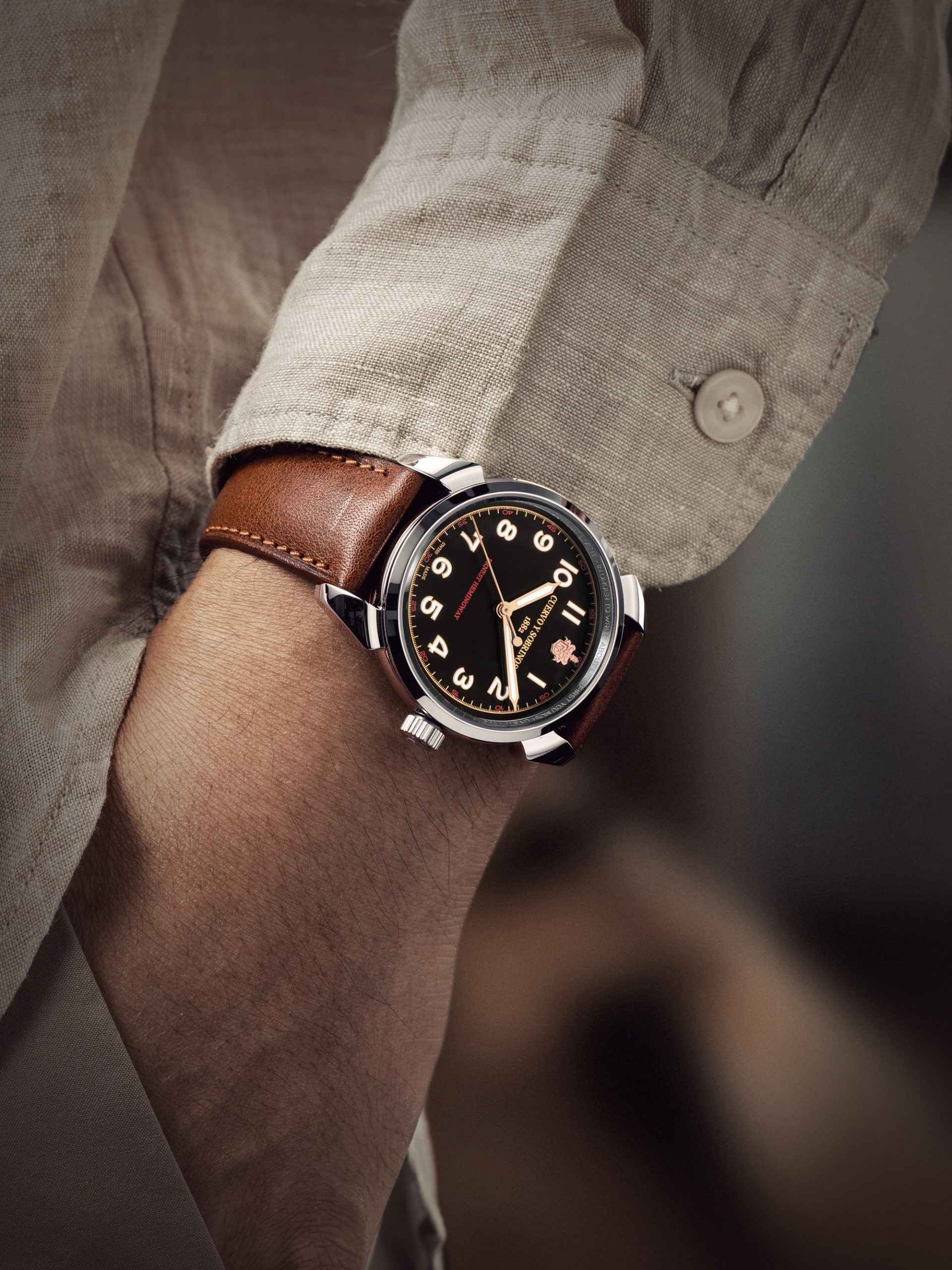 Historiador Ernest Hemingway Limited Edition - Image 13