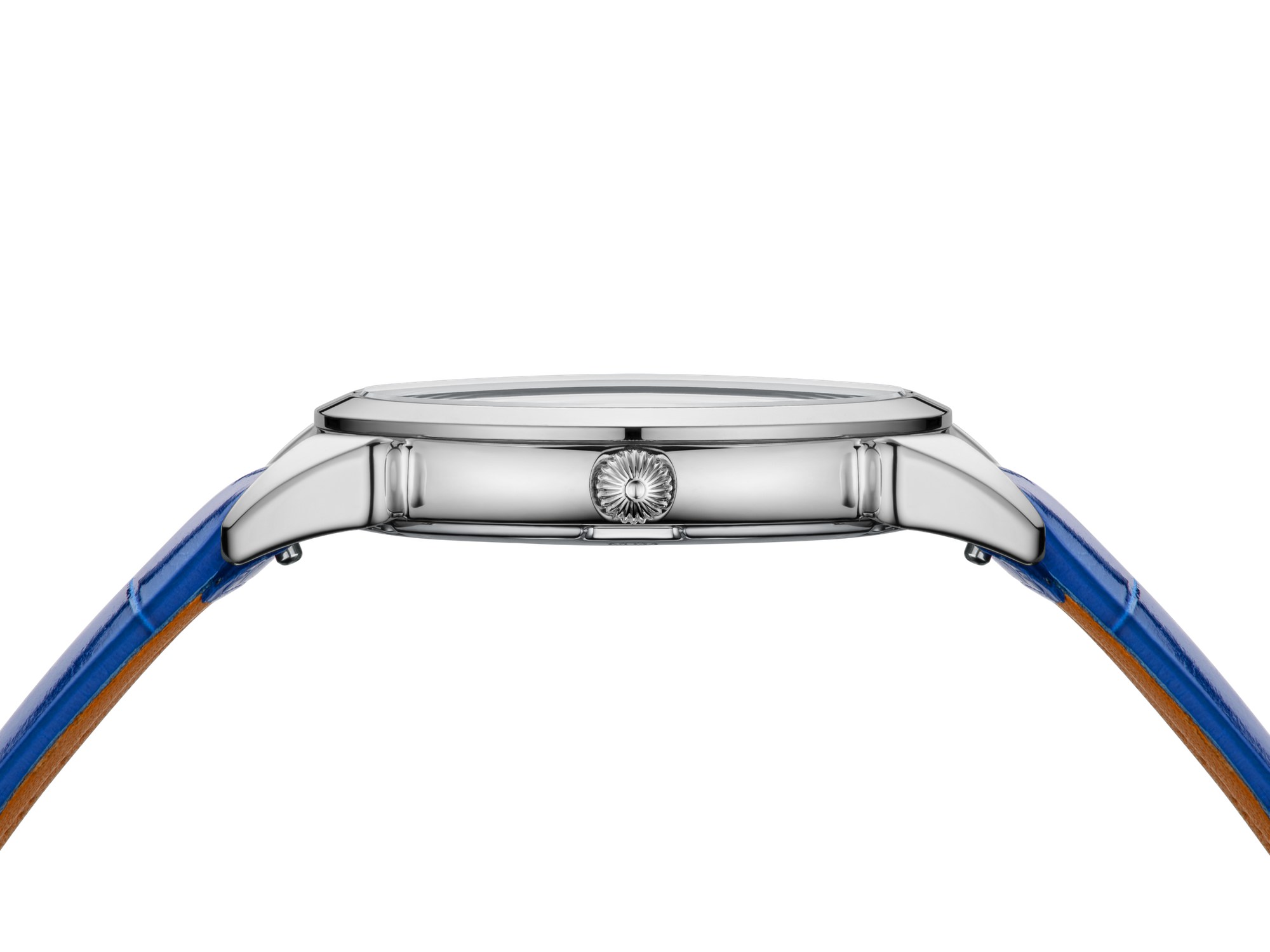 Historiador Primera Dama - Image 3