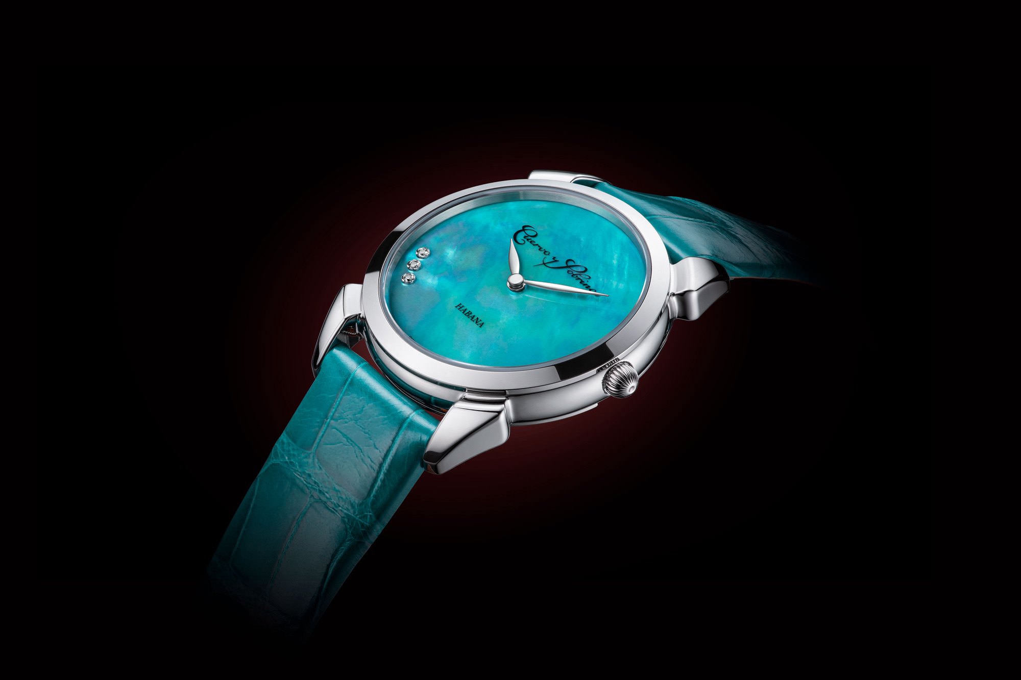 Historiador Primera Dama - Image 7