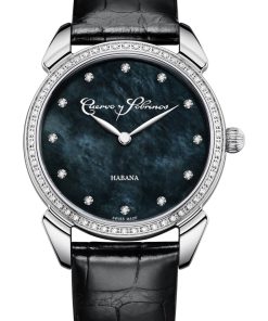 Historiador Primera Dama