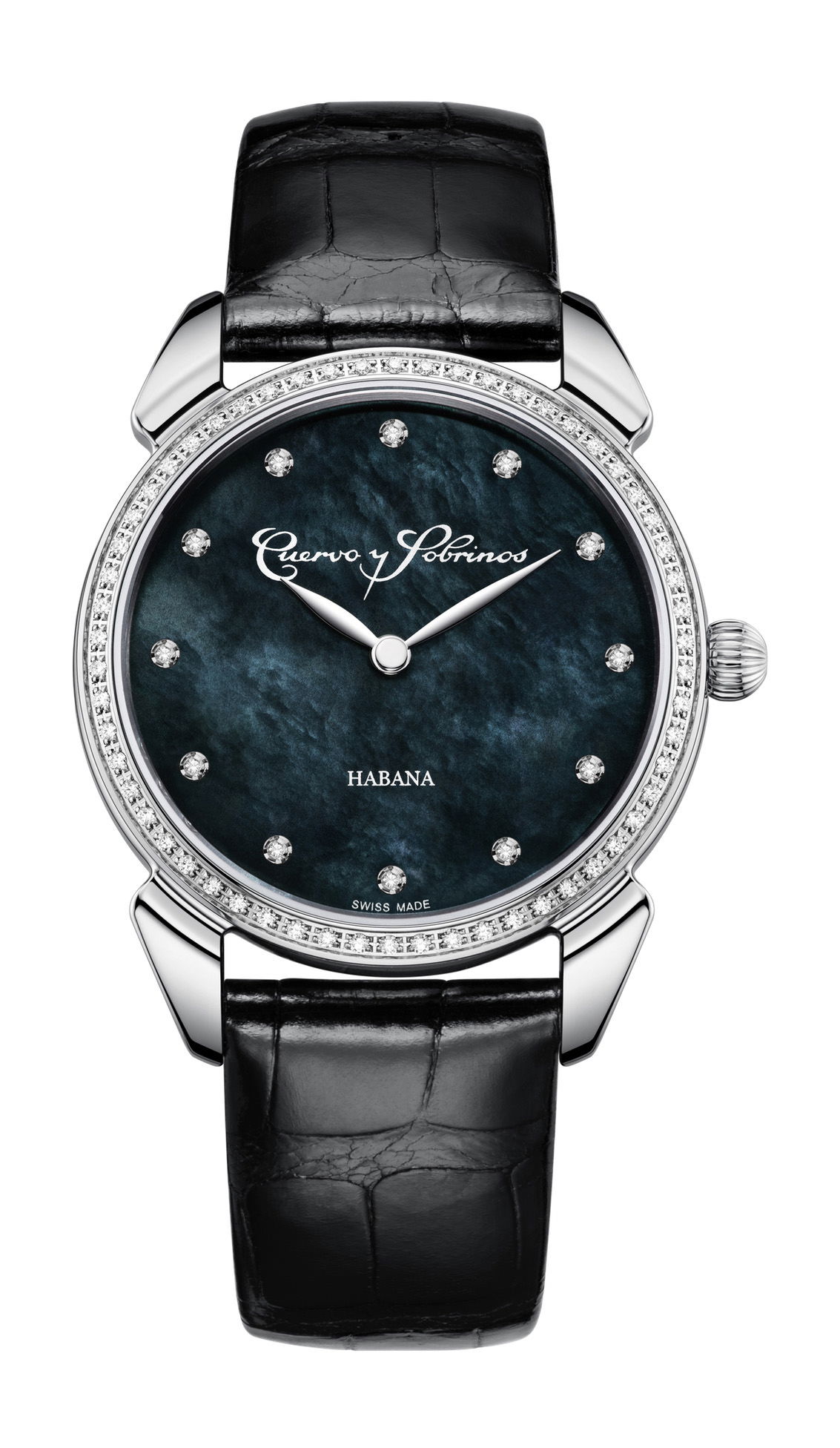 Historiador Primera Dama