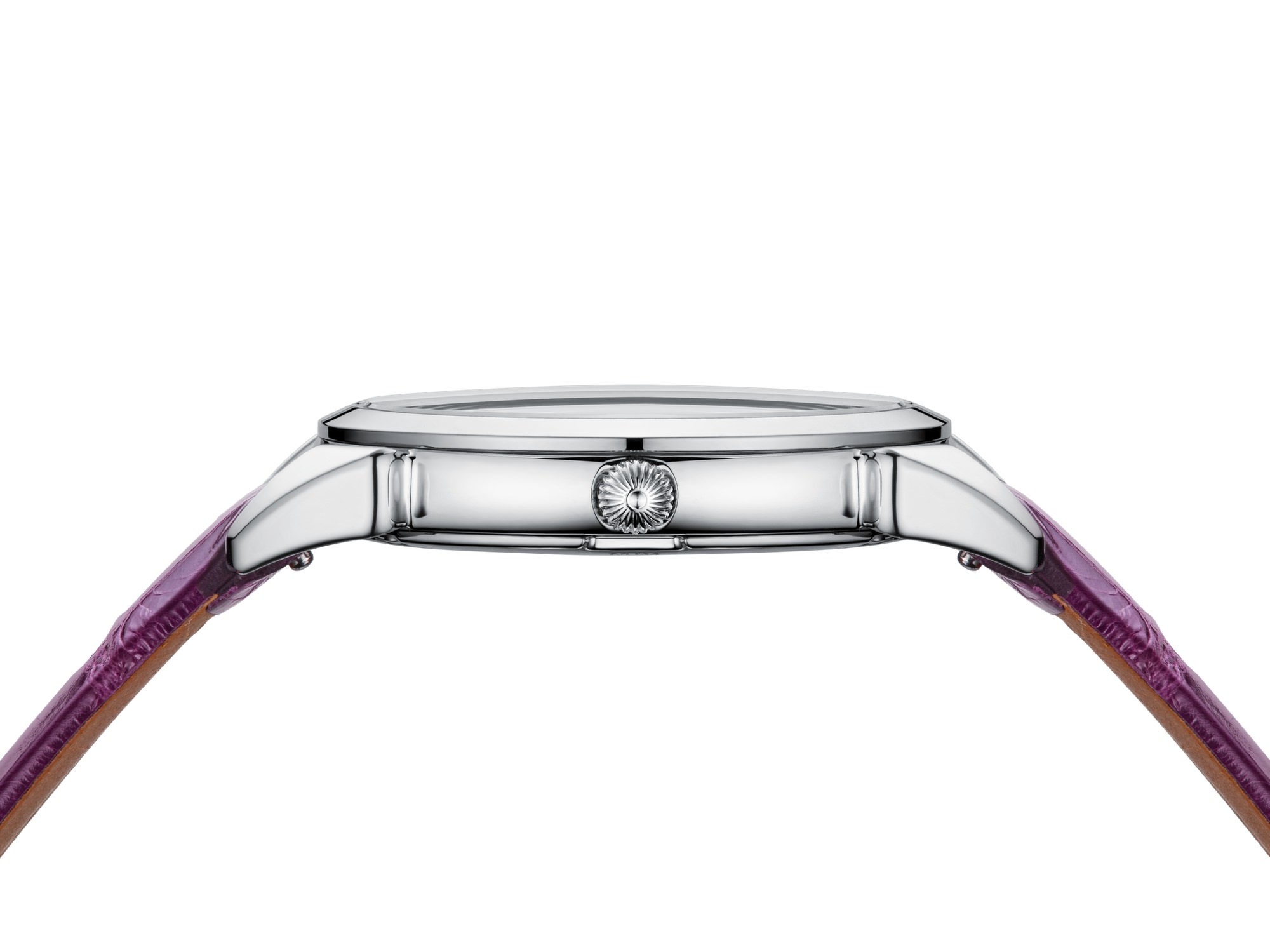 Historiador Primera Dama - Image 2