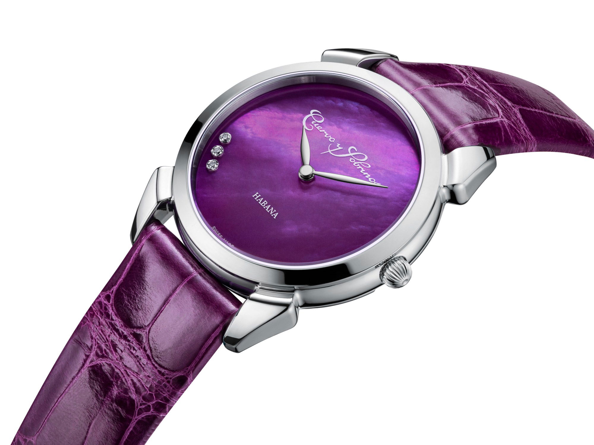 Historiador Primera Dama - Image 5