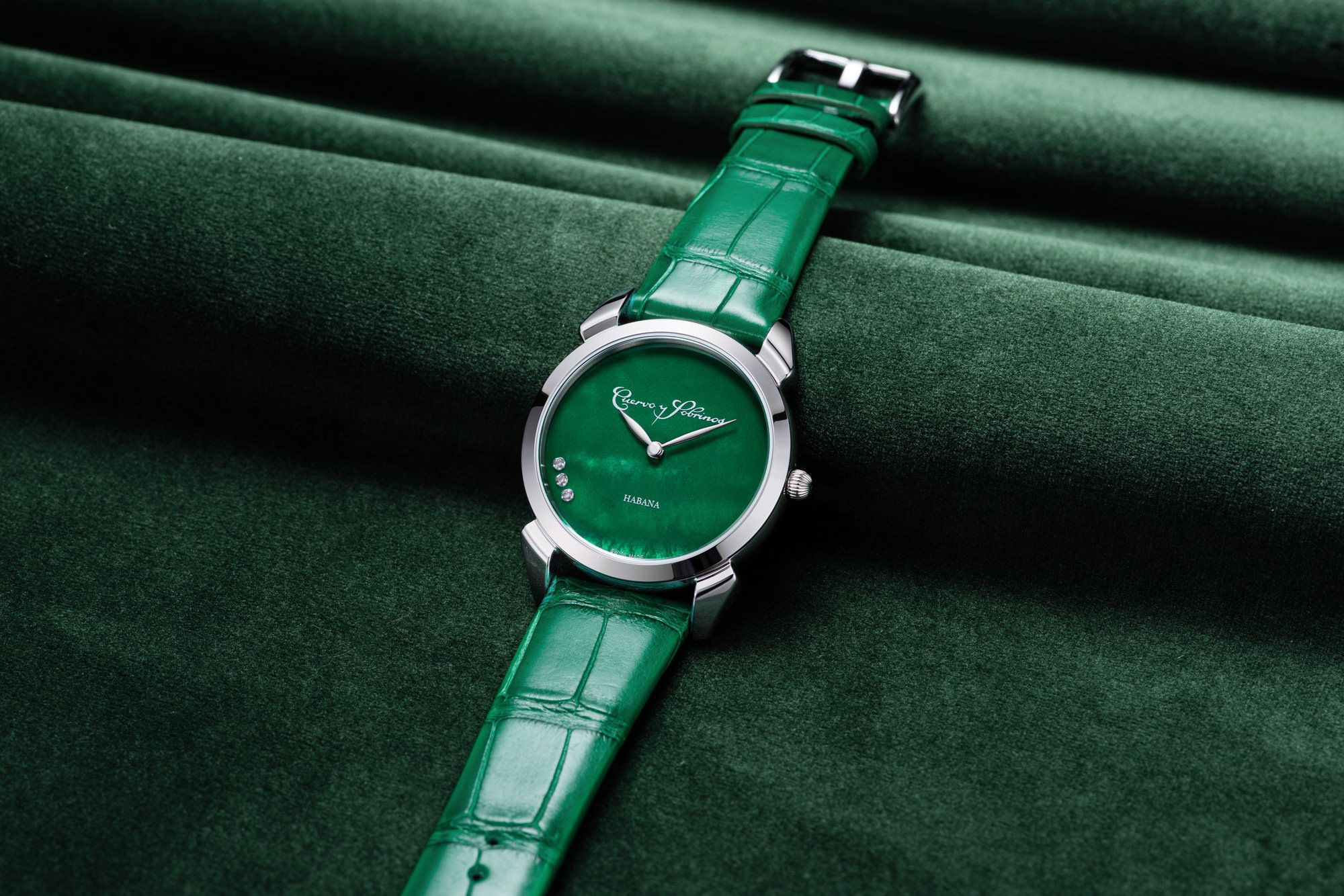 Historiador Primera Dama - Image 5