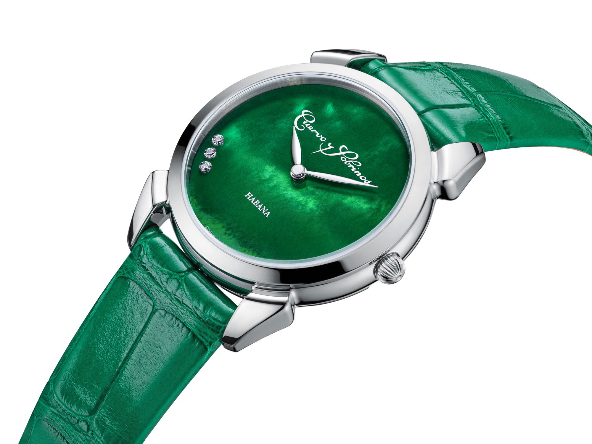 Historiador Primera Dama - Image 6