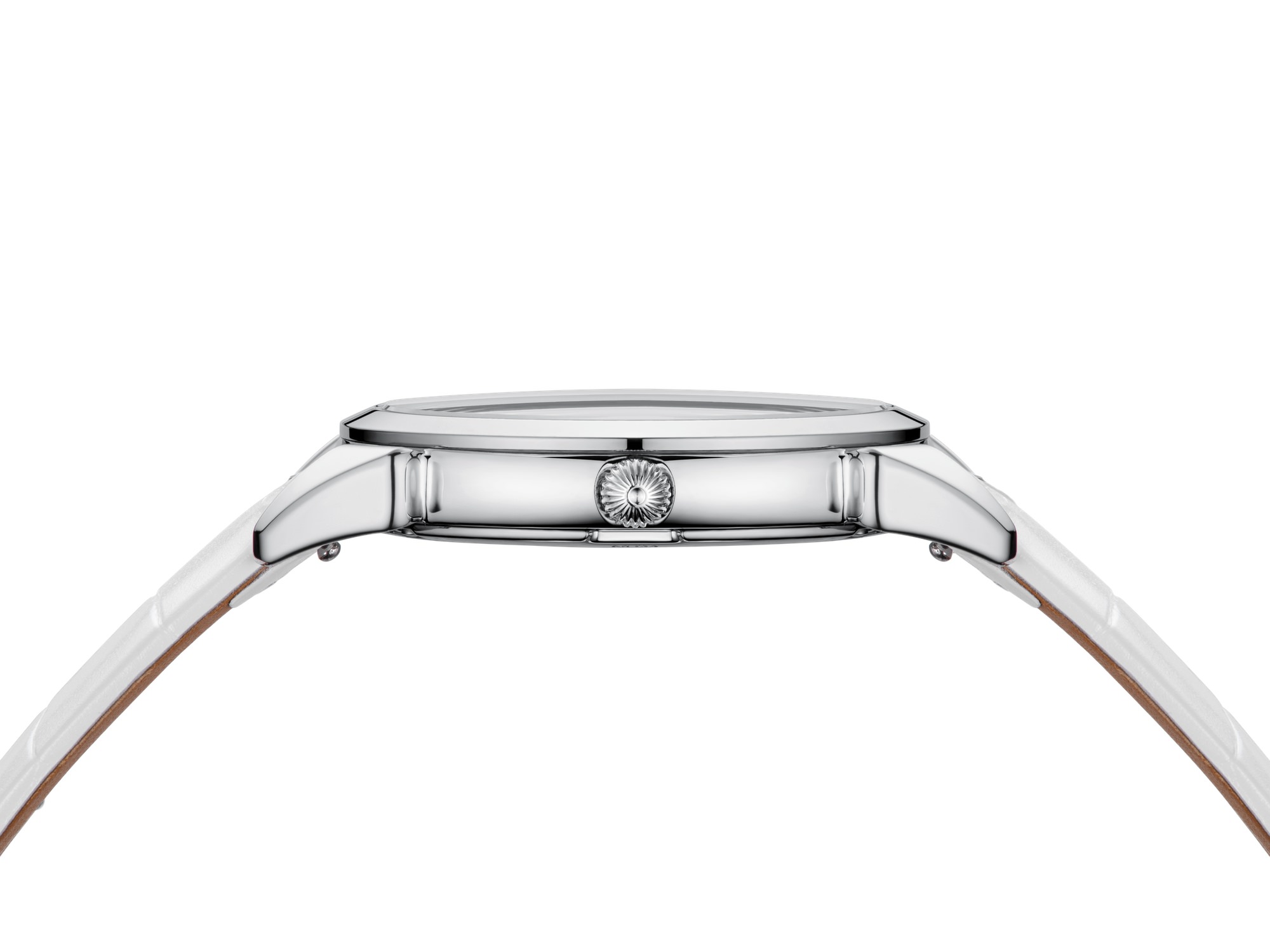 Historiador Primera Dama - Image 3