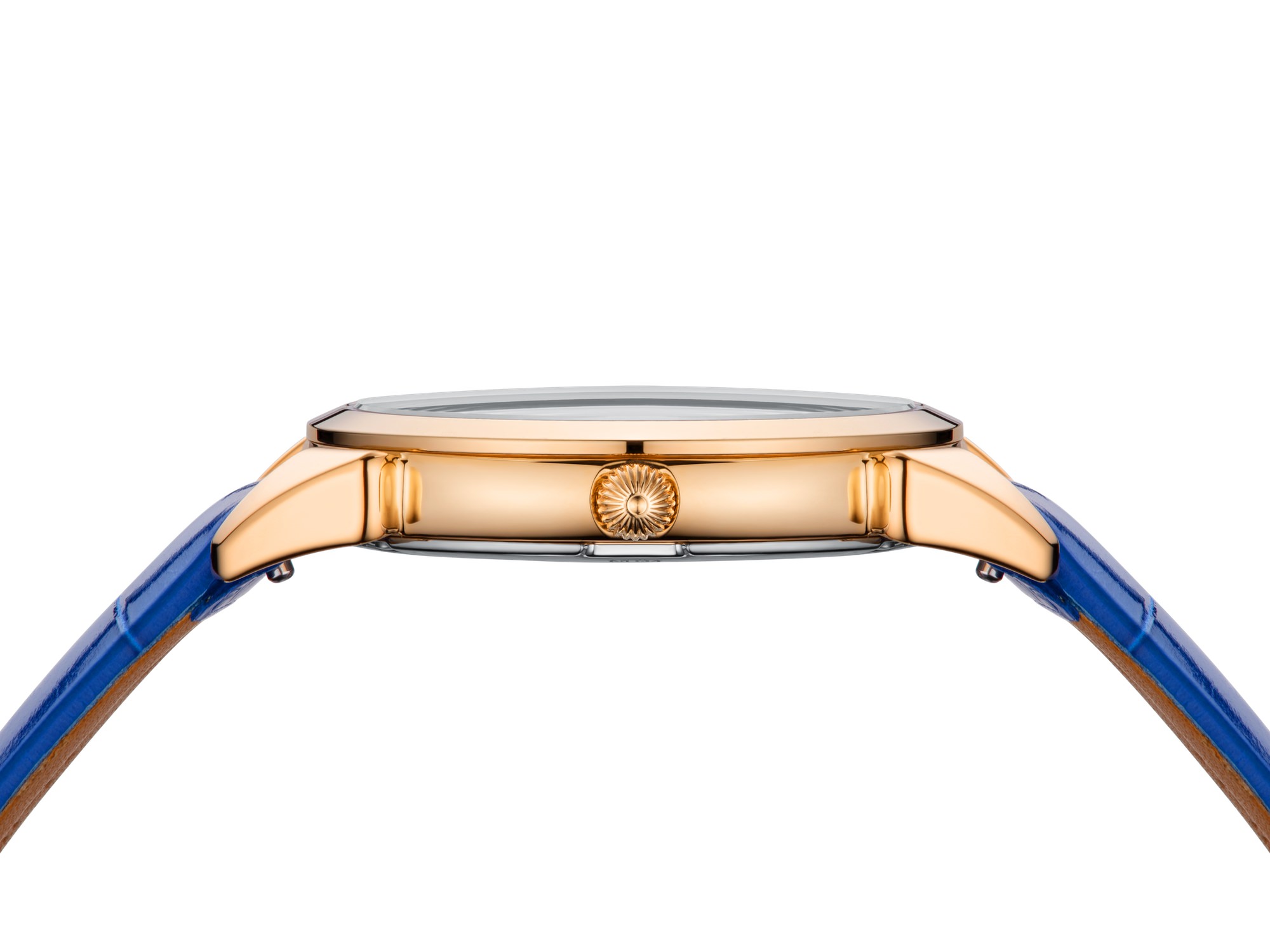 Historiador Primera Dama - Image 2