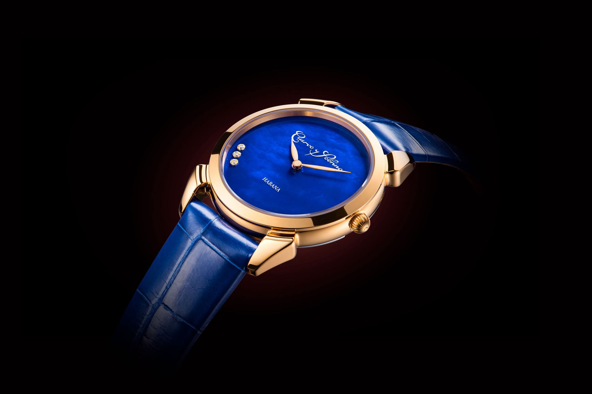 Historiador Primera Dama - Image 5