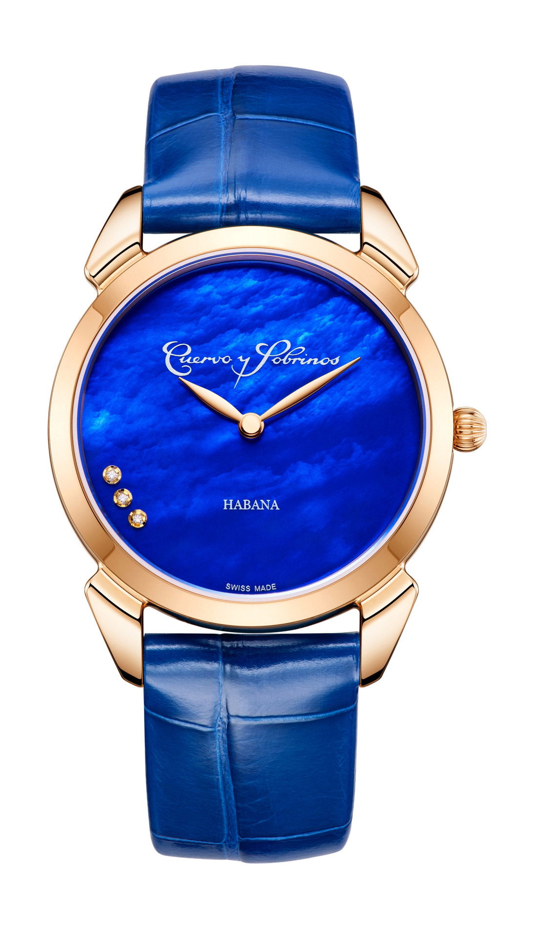 Historiador Primera Dama