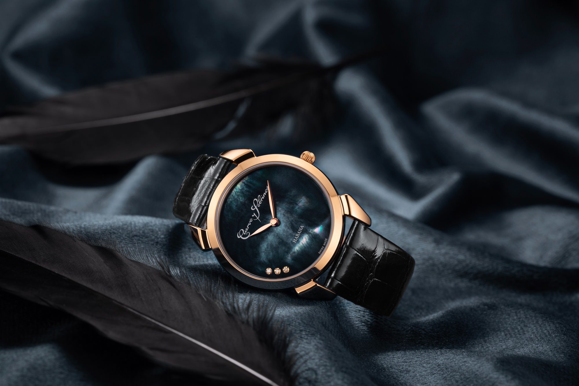 Historiador Primera Dama - Image 5