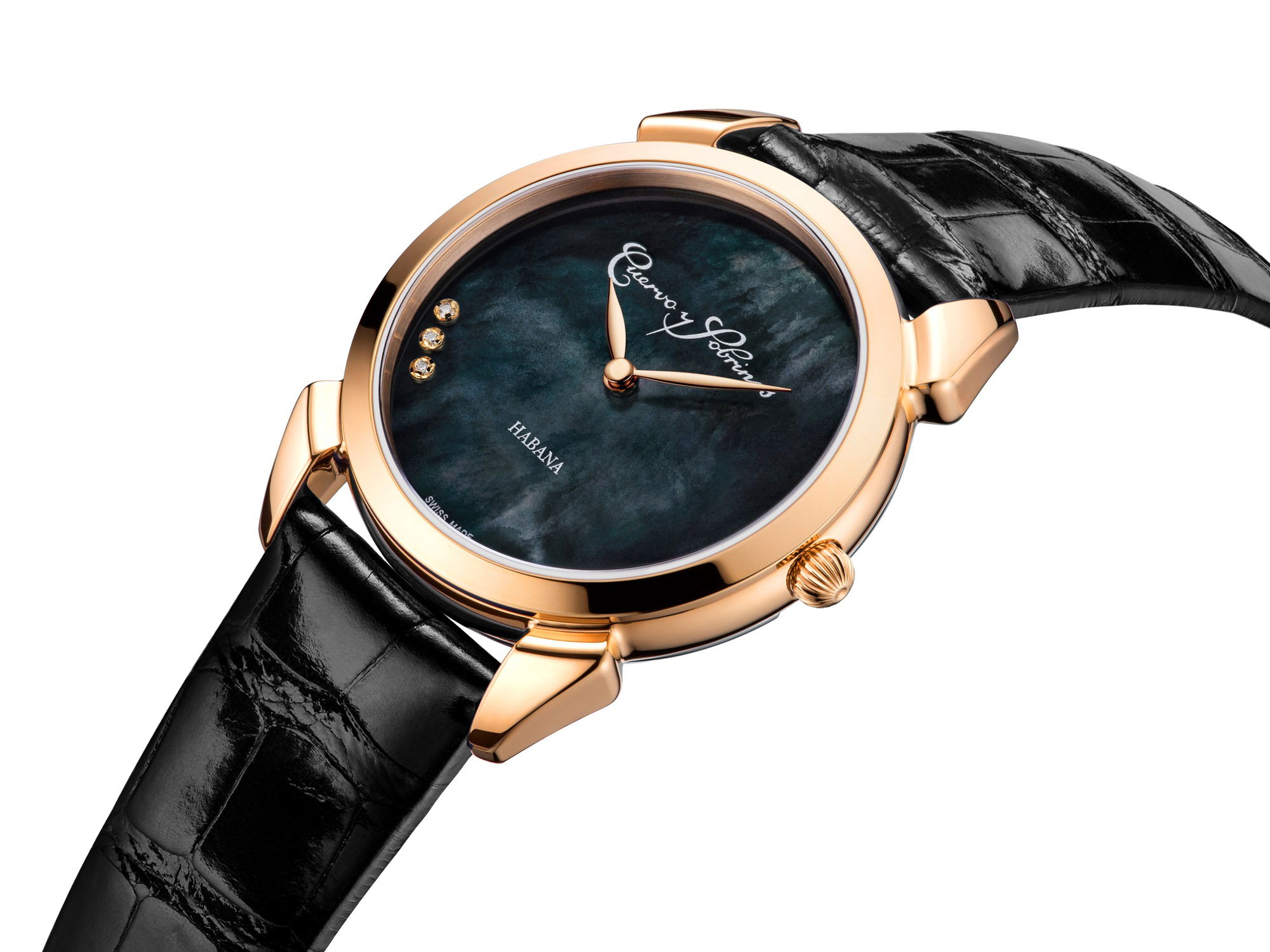 Historiador Primera Dama - Image 6