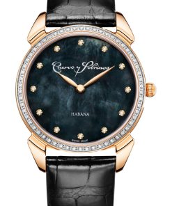 Historiador Primera Dama