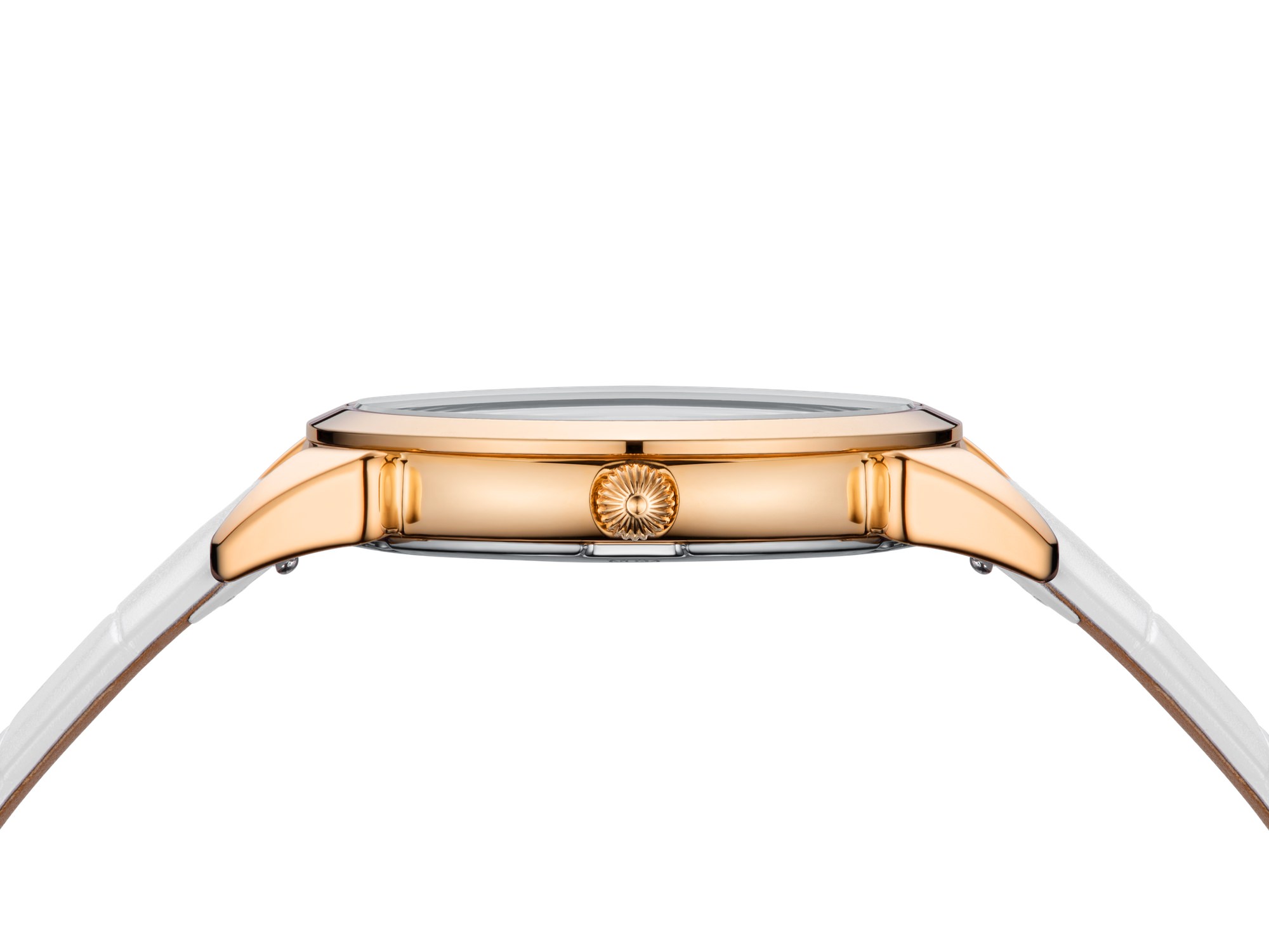 Historiador Primera Dama - Image 3