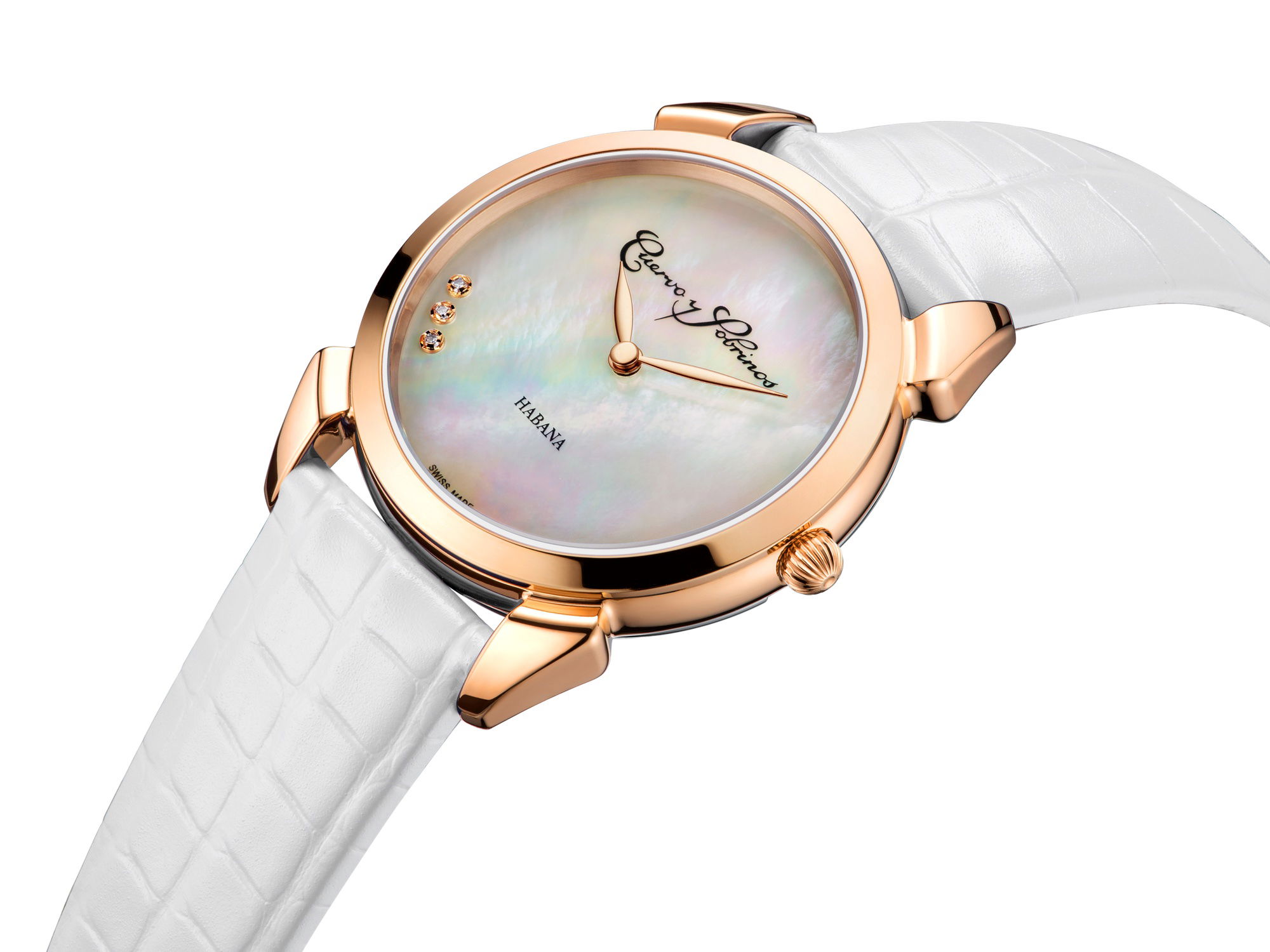 Historiador Primera Dama - Image 5