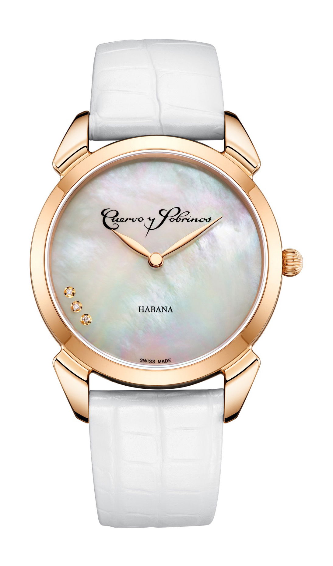 Historiador Primera Dama