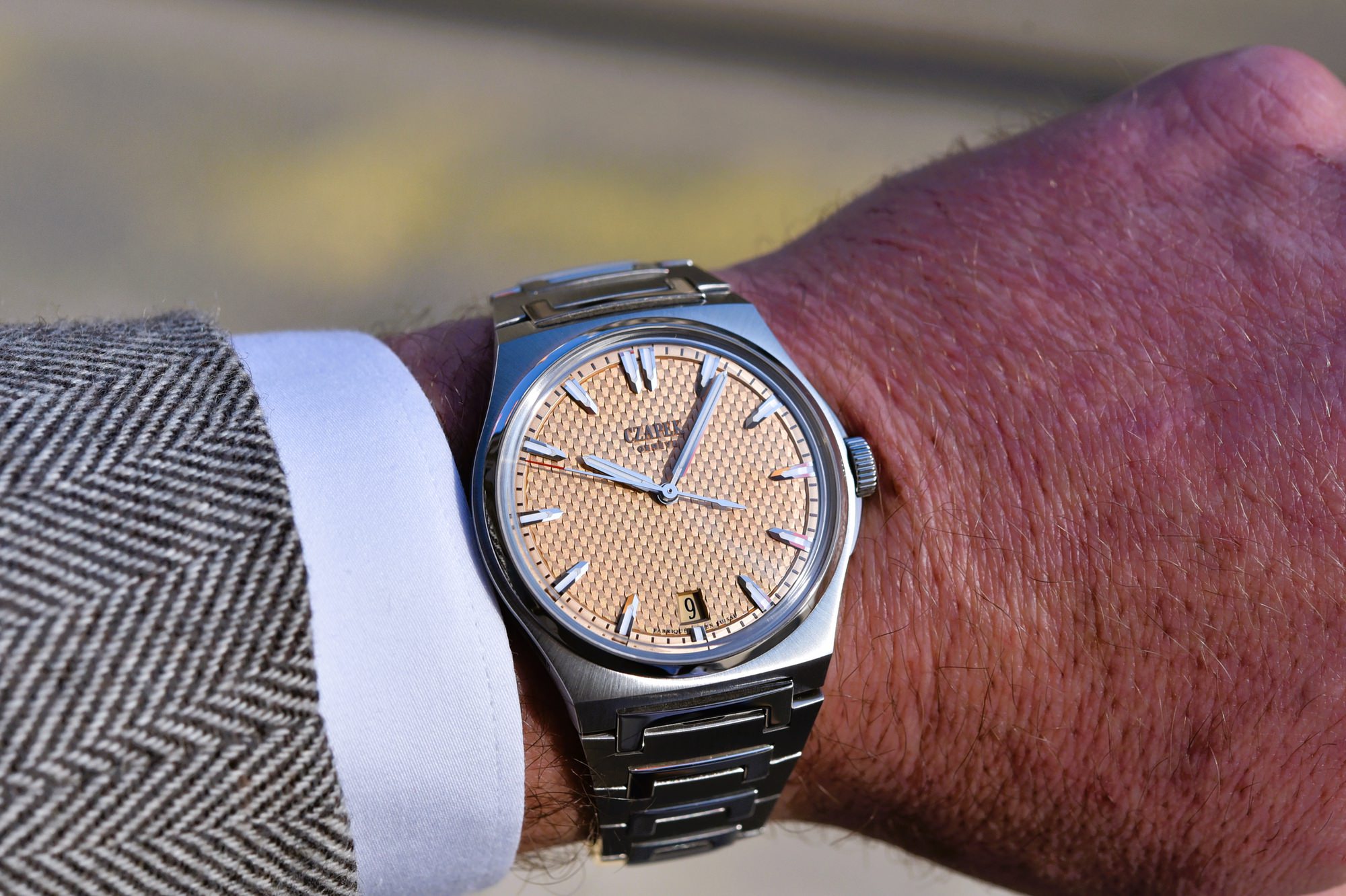 Antarctique Passage de Drake Salmon - Image 4