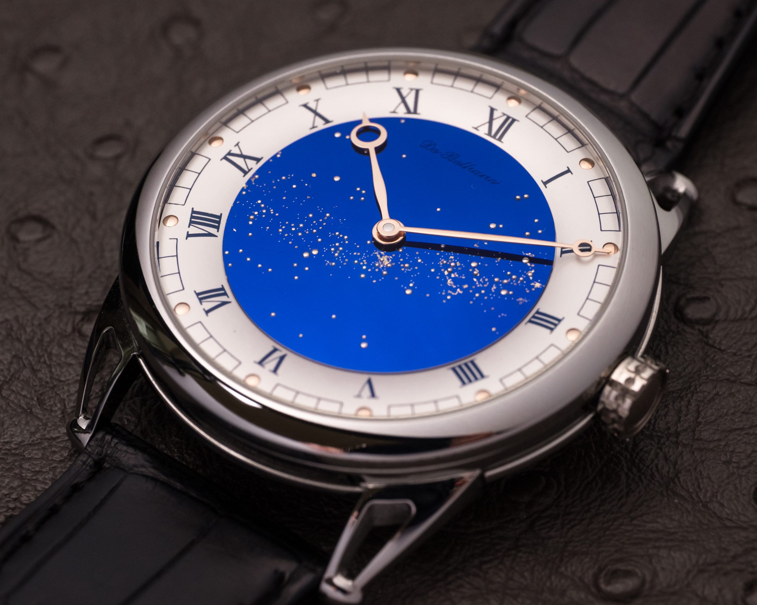 DB25 Starry Varius - Image 4