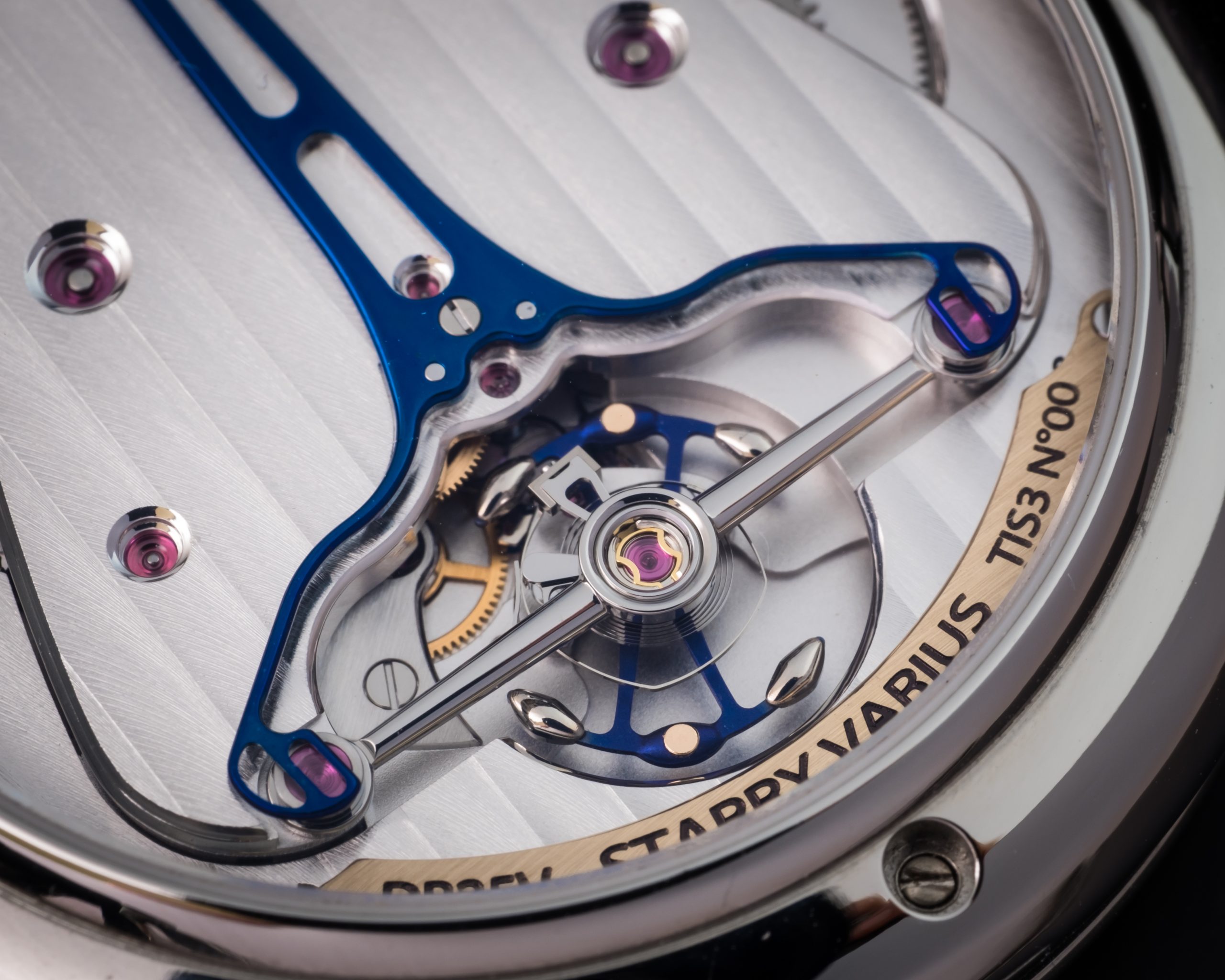 DB25 Starry Varius - Image 5