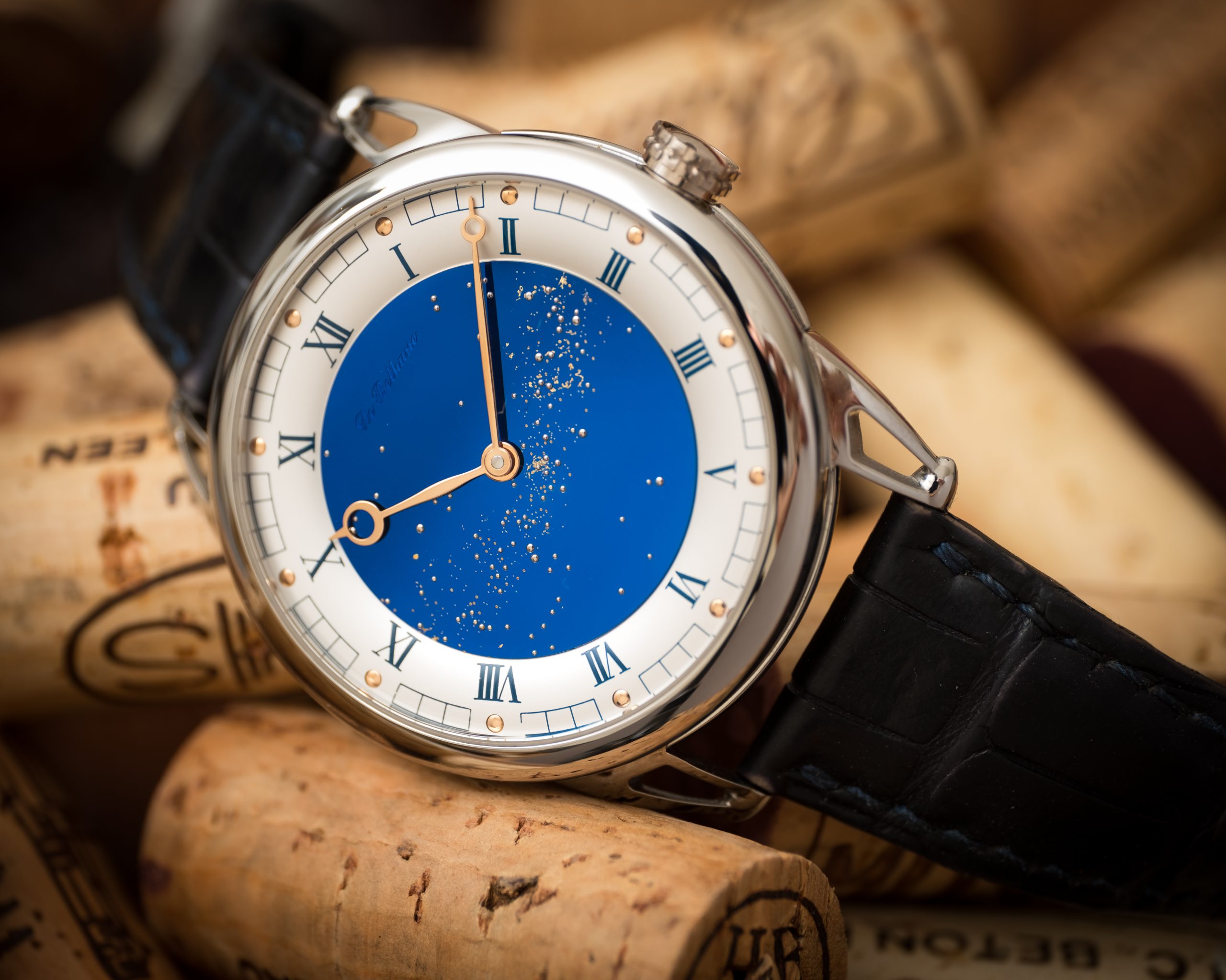 DB25 Starry Varius - Image 7