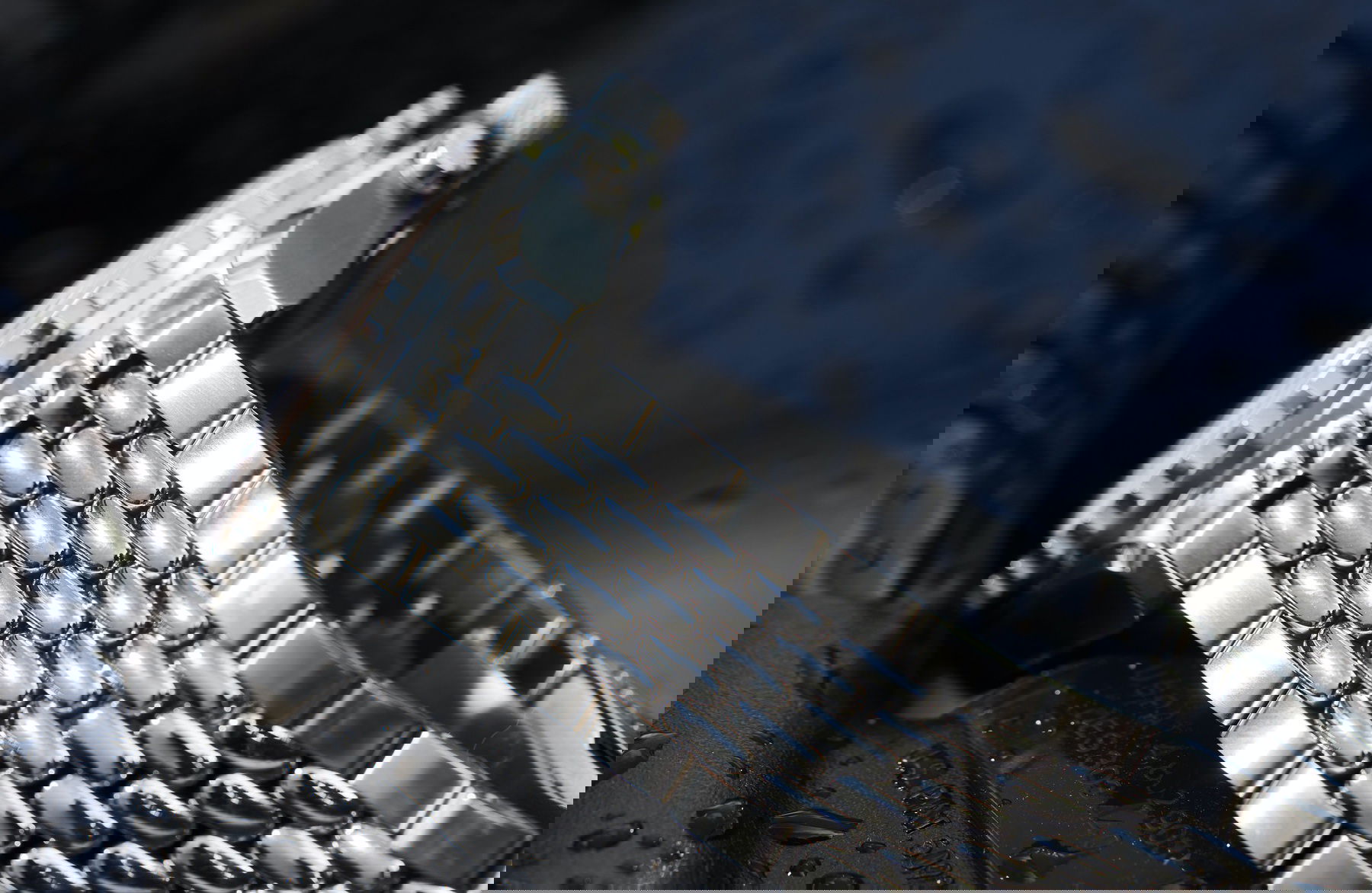 SUB 200 C-Graph Sharkhunter - Image 4