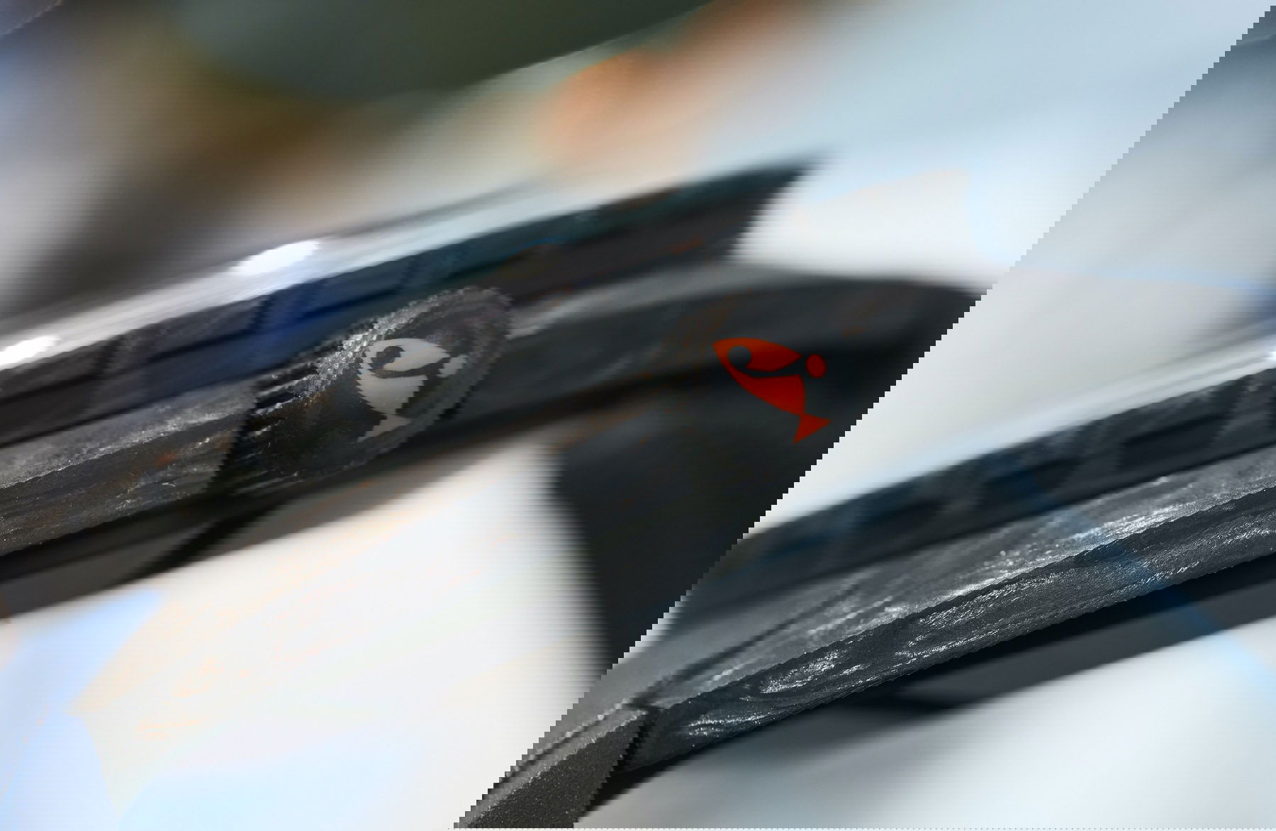 SUB 300 Carbon Caribbean - Image 4