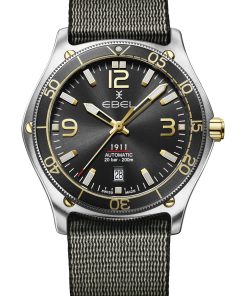 Alternative view of 1911