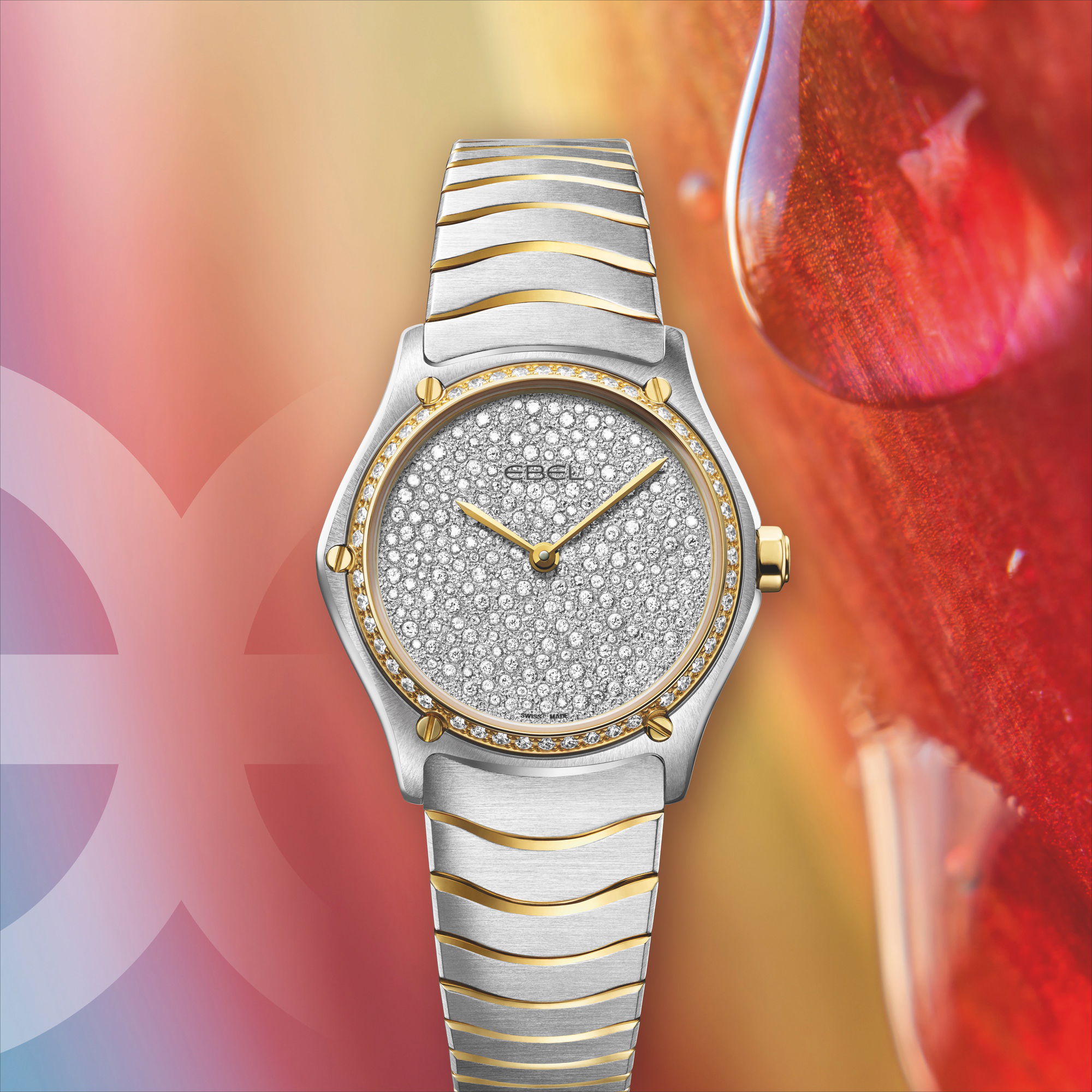 Sport Classic Stardust - Image 5