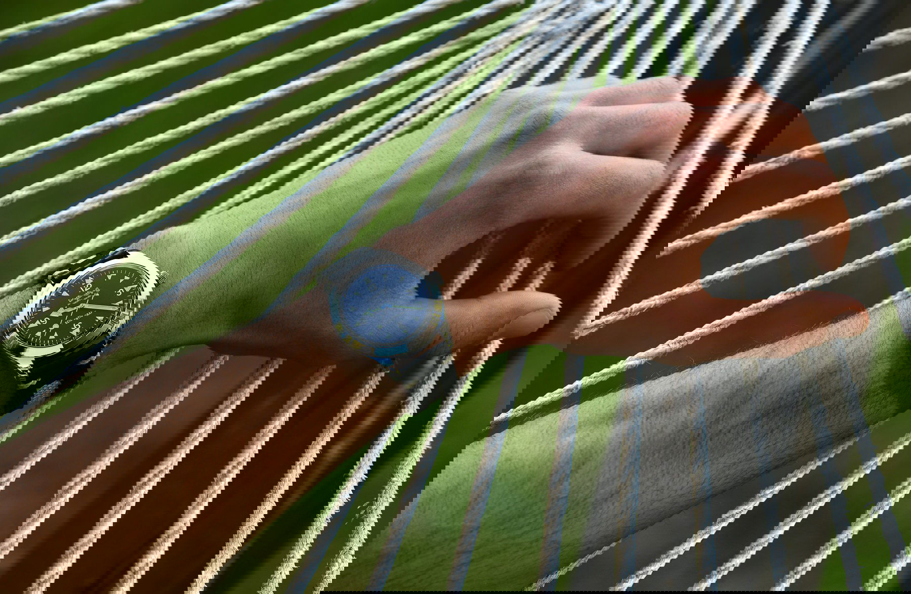 Scientigraf - Image 4