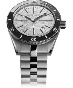 Deep Raider Renaissance Meteorite