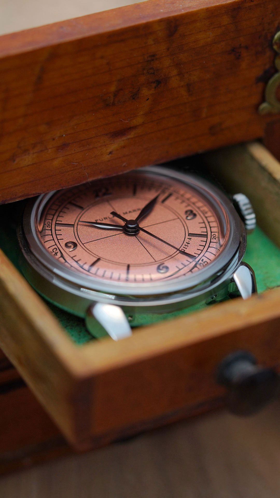 Salmon Sector - Image 8