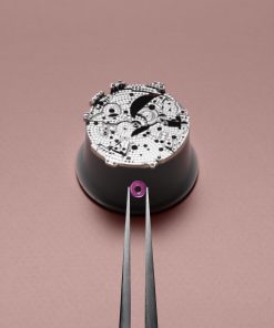 Alternative view of Minute Repeater Jumping Hours – Only Watch