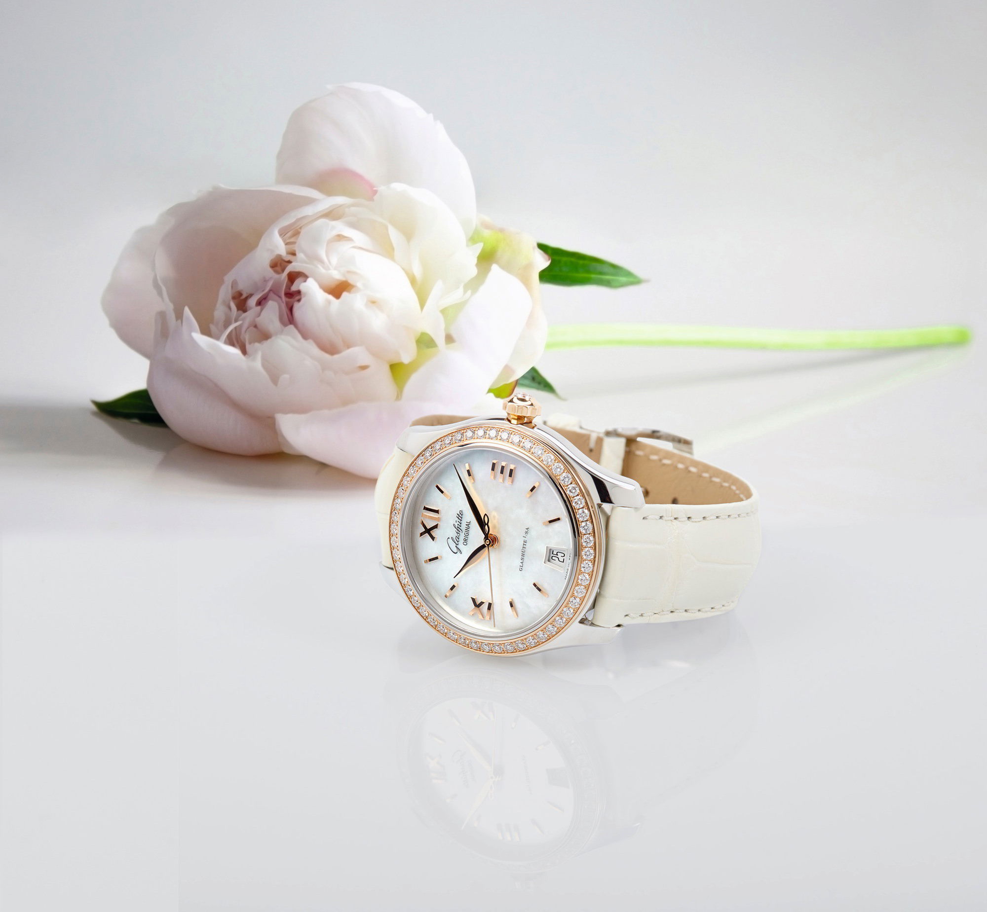 Lady Serenade Bicolor - Image 4