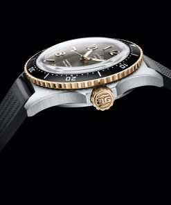 Alternative view of SeaQ Panoramadatum Bicolor