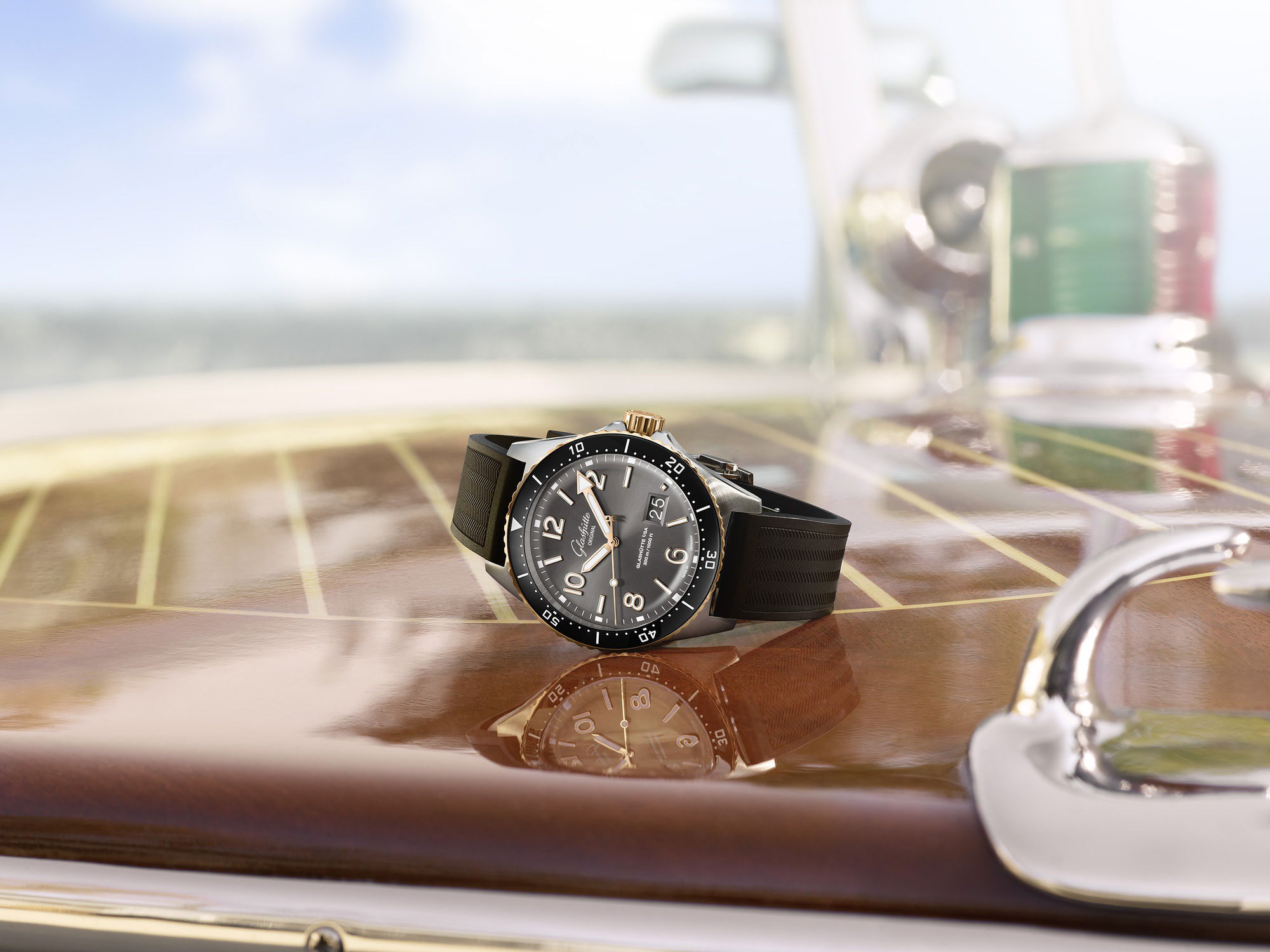 SeaQ Panoramadatum Bicolor - Image 3