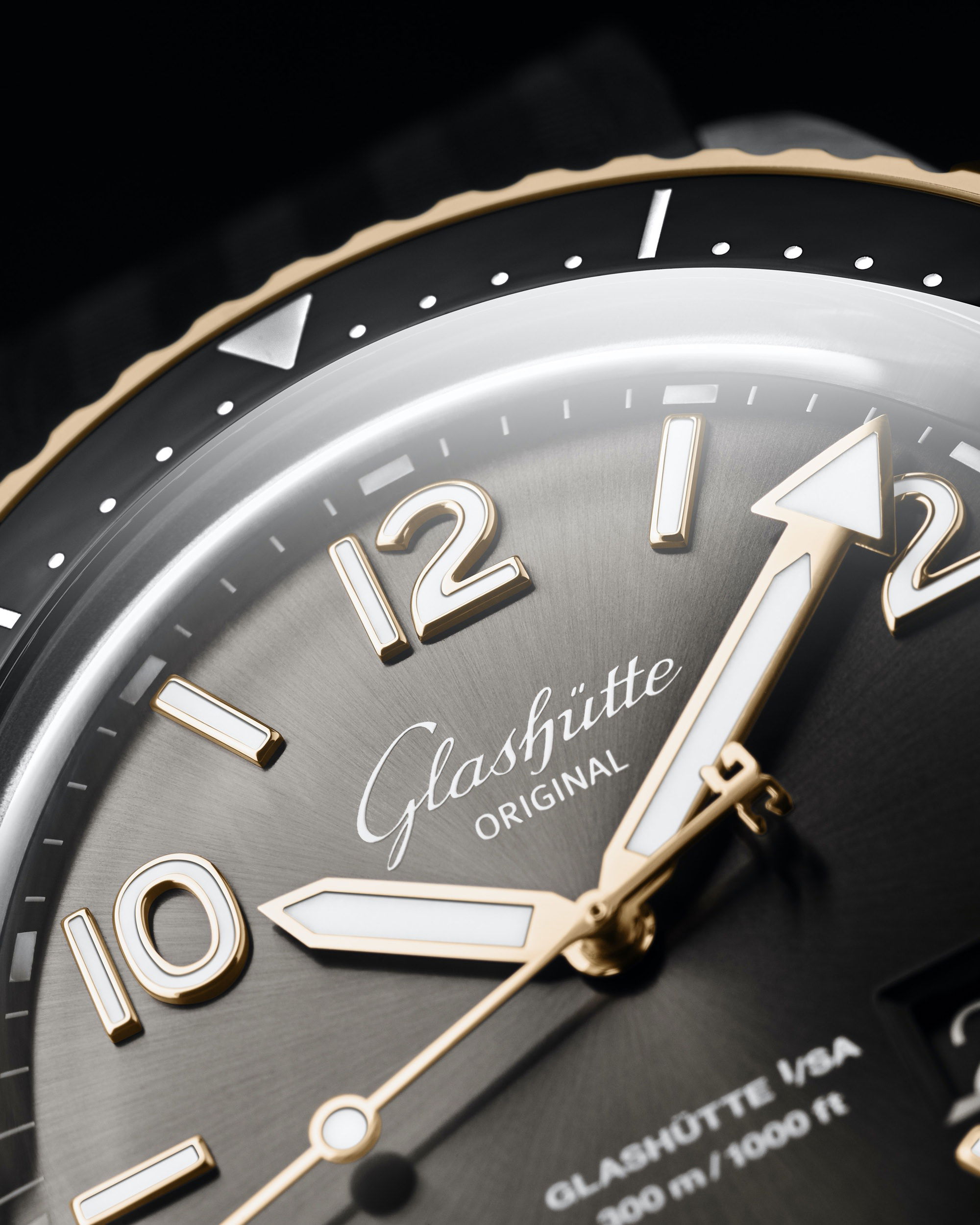 SeaQ Panoramadatum Bicolor - Image 5