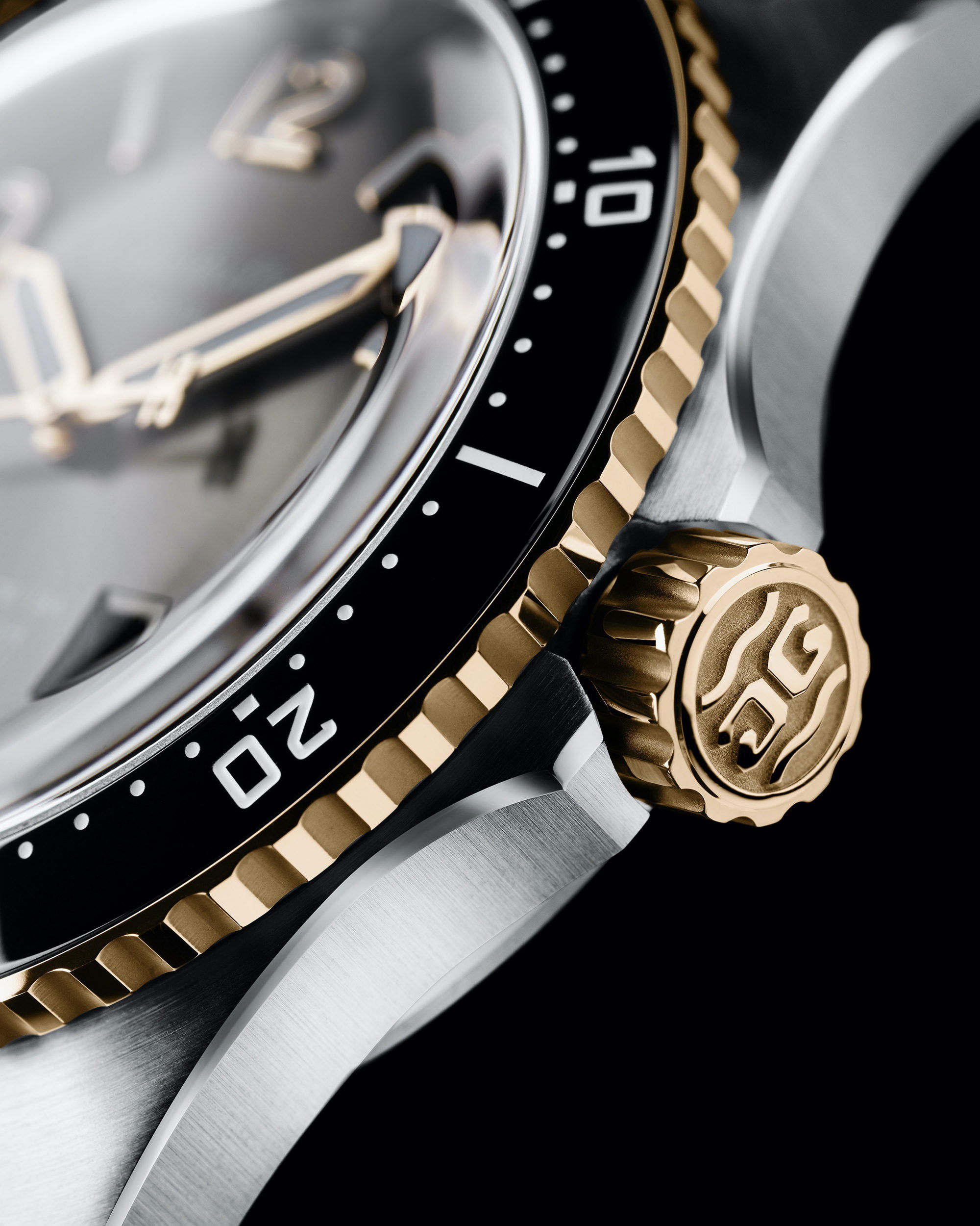 SeaQ Panoramadatum Bicolor - Image 7