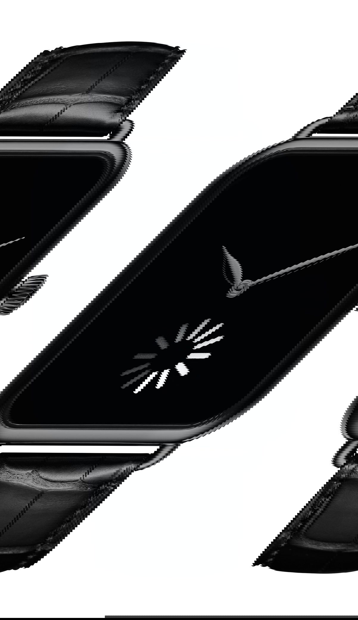 Swiss Alp Watch Final Upgrade