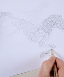 Alternative view of Arceau Chorus Stellarum Blue