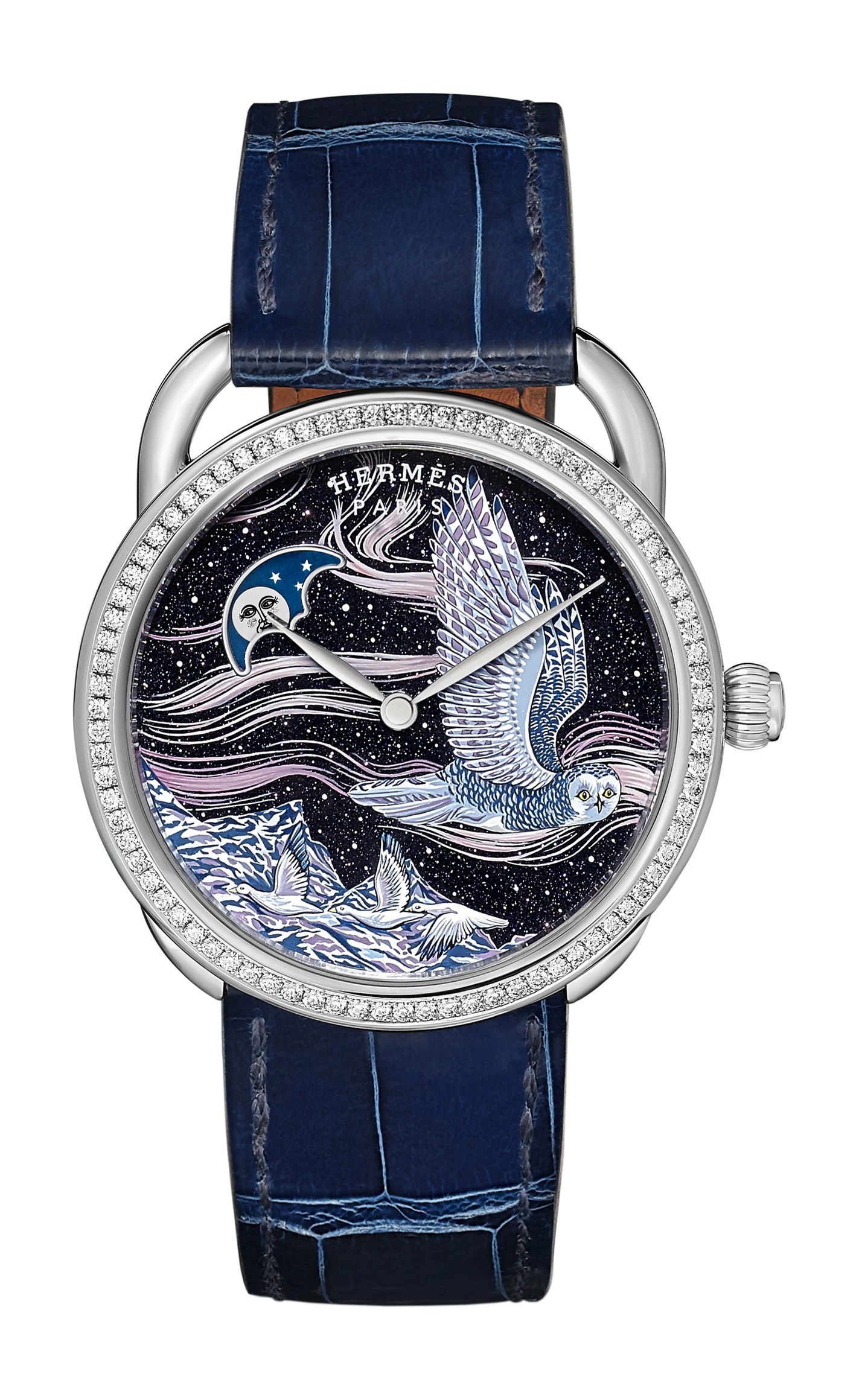 Arceau Into the Canadian Wild