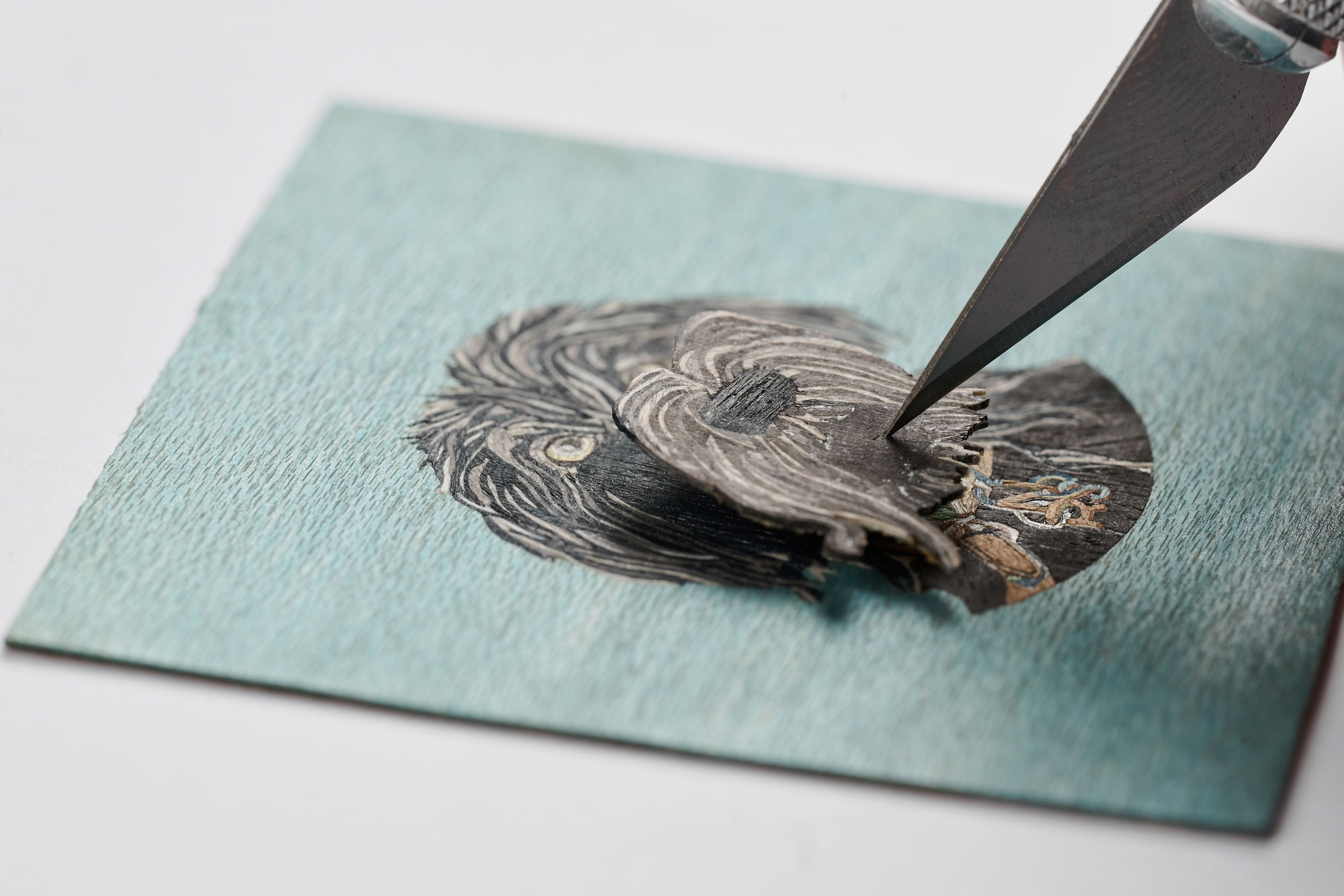 Arceau Jour de Casting Orson - Image 3